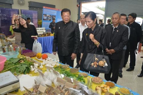 รัฐมนตรีว่าการกระทรวงการท่องเที่ยวและกีฬา พร้อมด้วยผู้ว่าราชการจังหวัดระนอง เข้าเยี่ยมชมบ้านหาดส้มแป้น