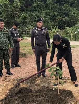 รัฐมนตรีว่าการกระทรวงการท่องเที่ยวและกีฬา ปลูกไม้พยุง เพื่อเป็นสัญลักษณ์ในการรักษาสิ่งแวดล้อมเพื่อความยั่งยืน ณ ป่าสงวนแห่งชาติ "ภูสิงห์"