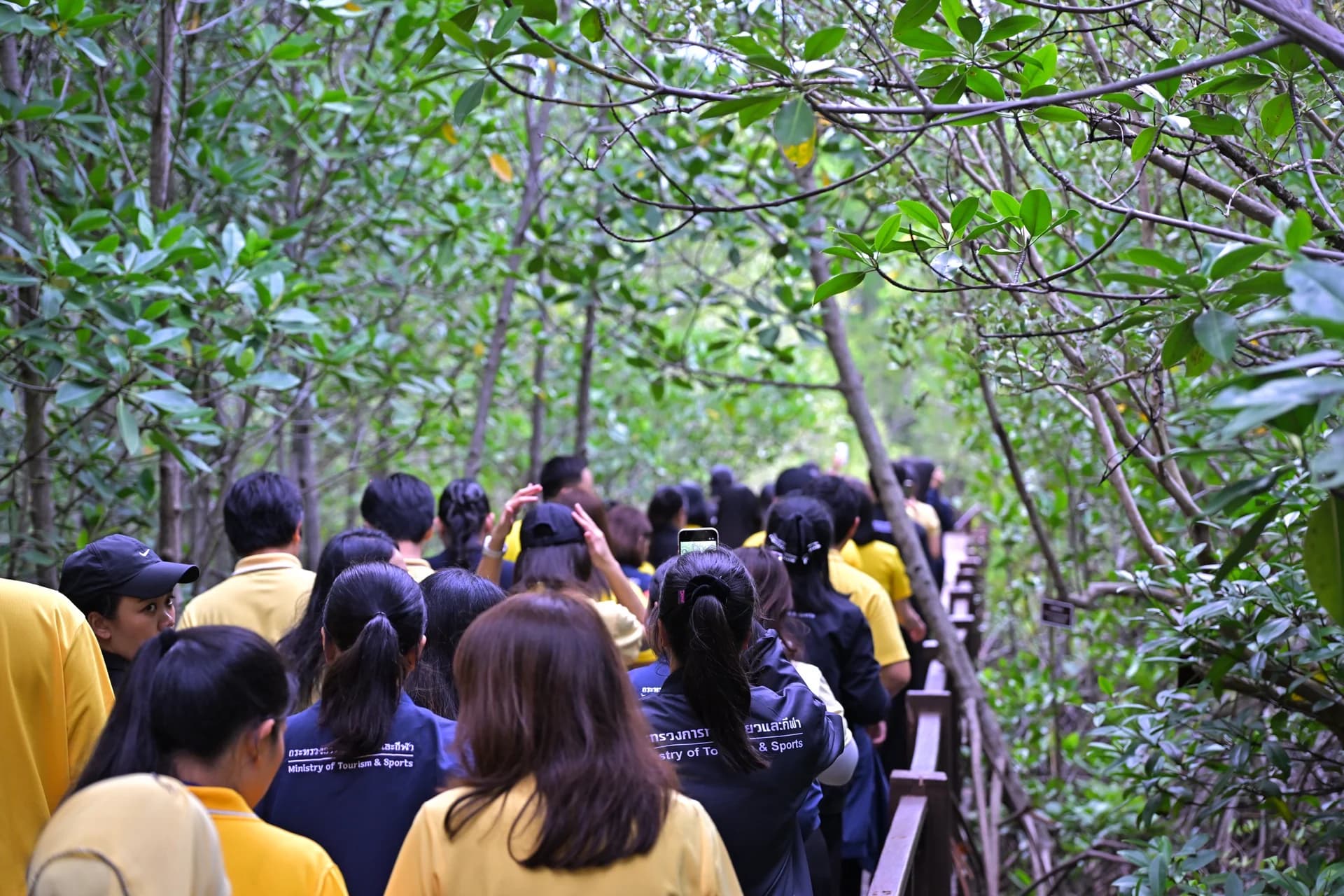 รูปภาพแกลเลอรี