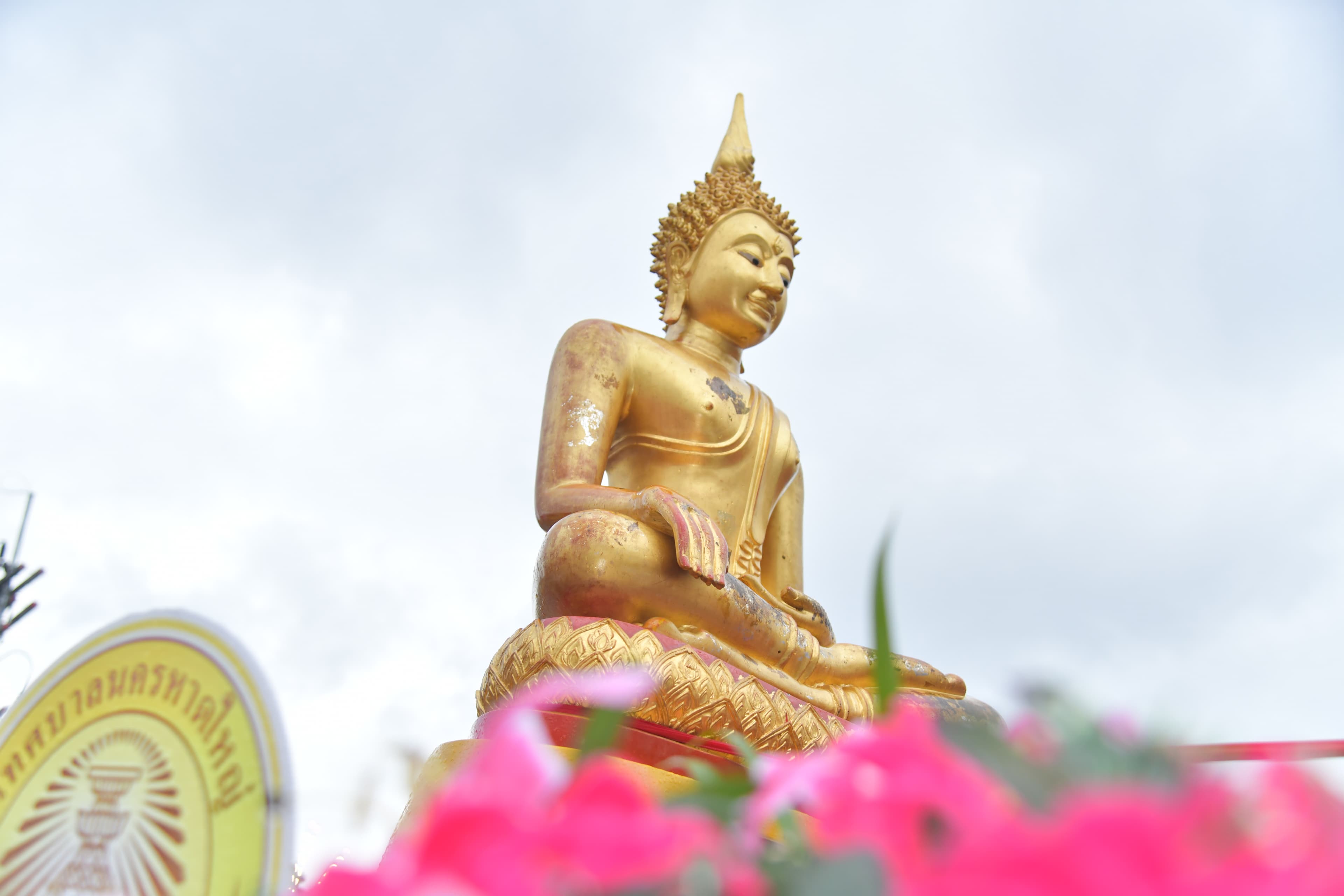 รูปภาพแกลเลอรี
