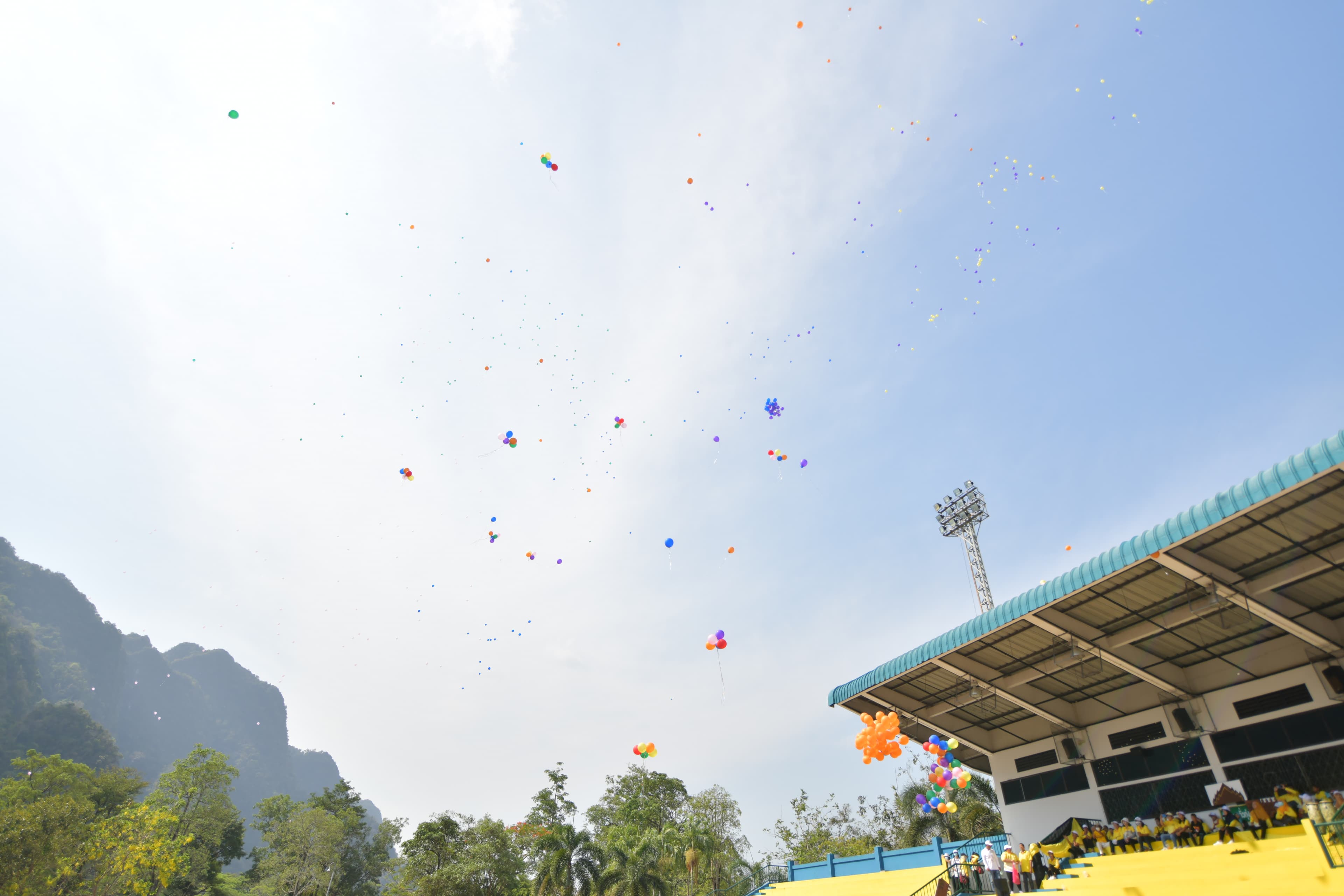 รูปภาพแกลเลอรี