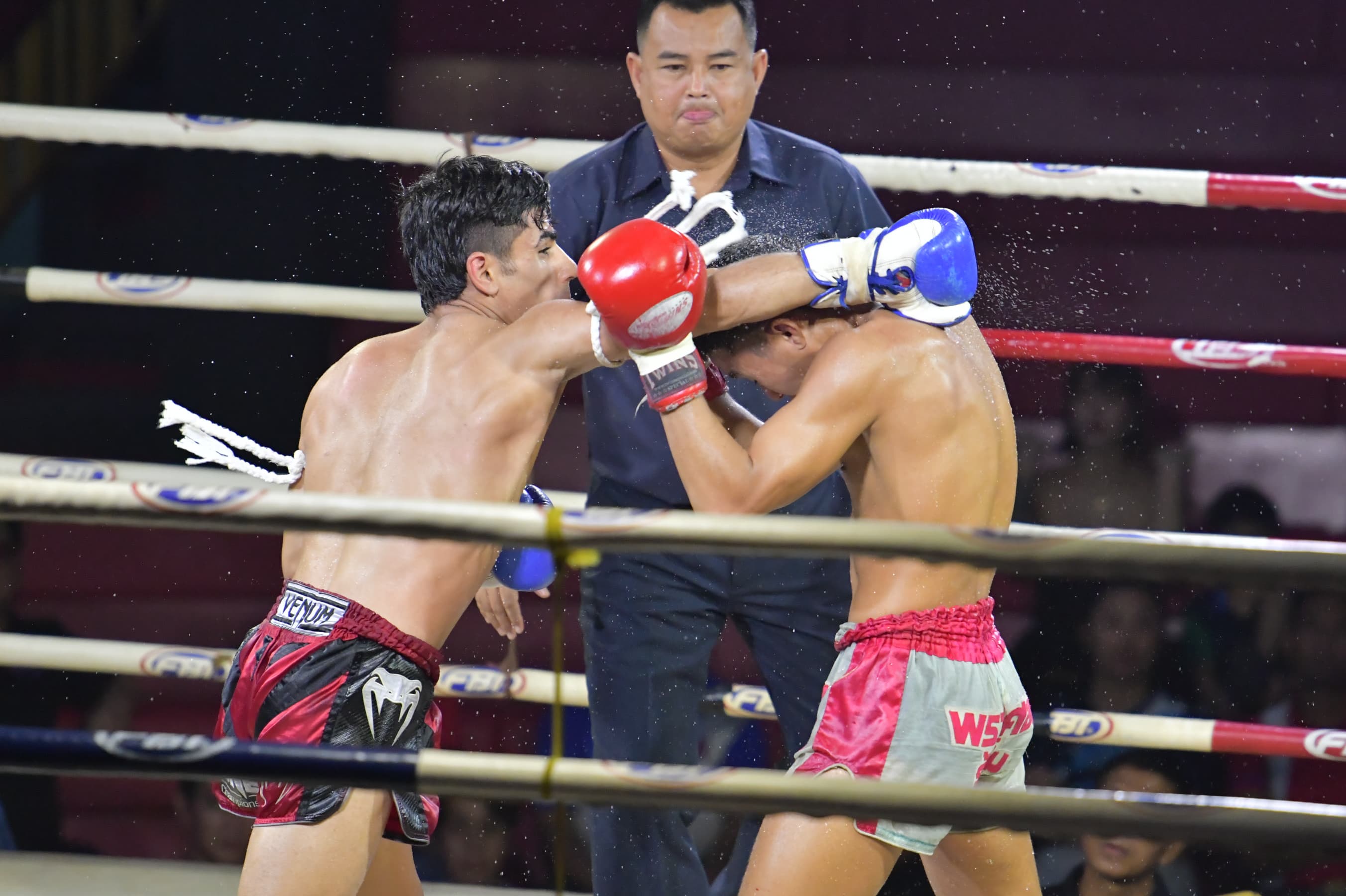 รูปภาพแกลเลอรี