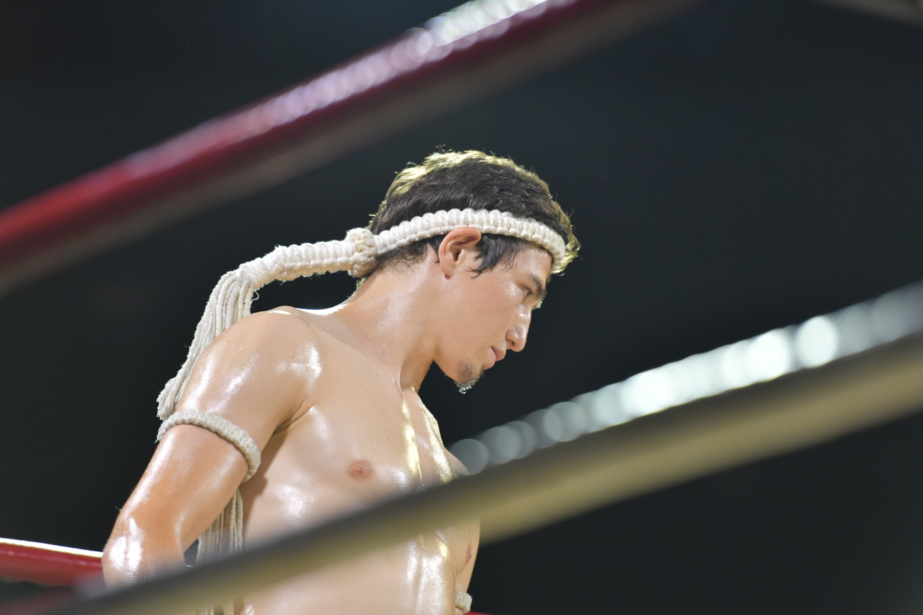 รูปภาพแกลเลอรี