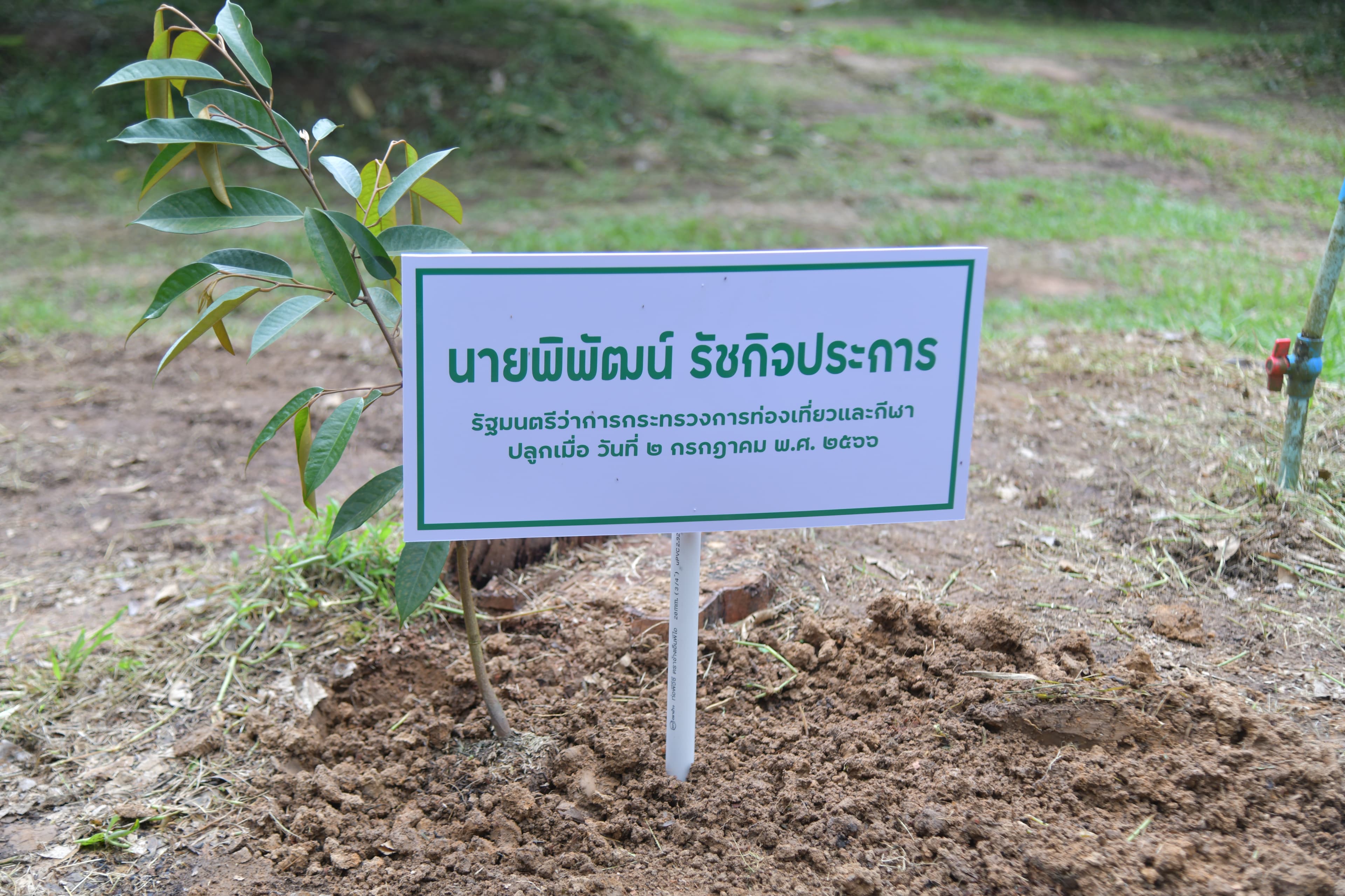 รูปภาพแกลเลอรี
