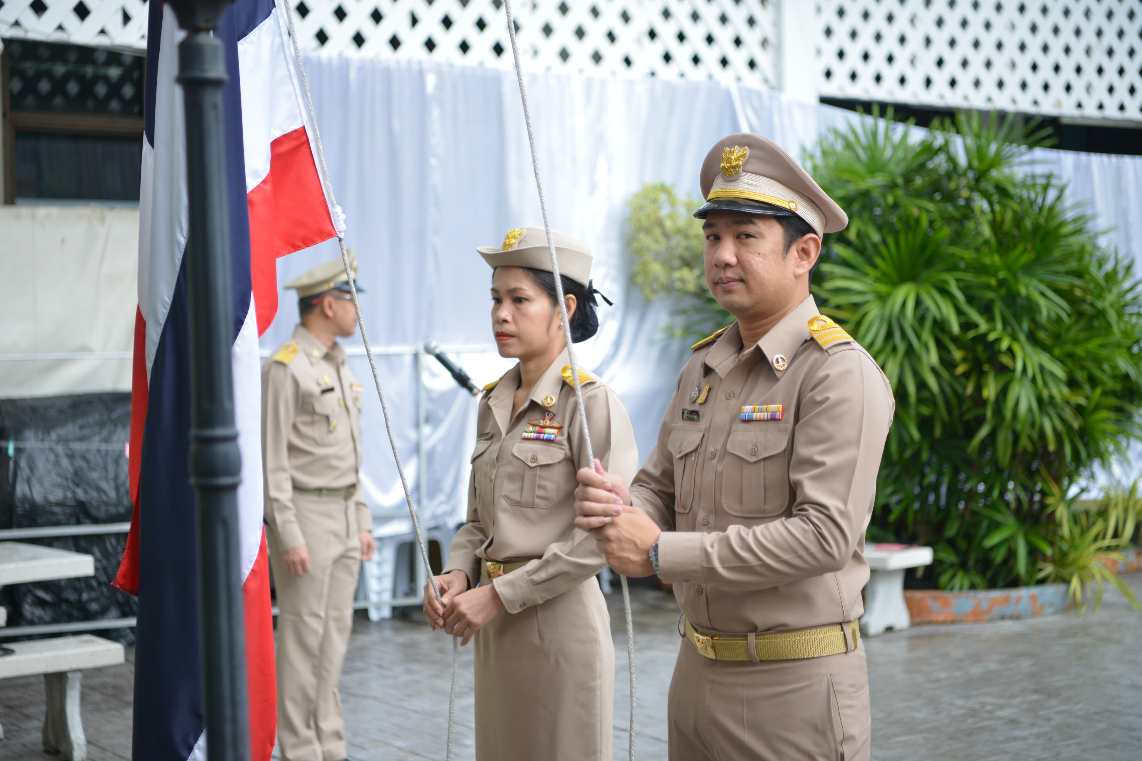 รูปภาพแกลเลอรี