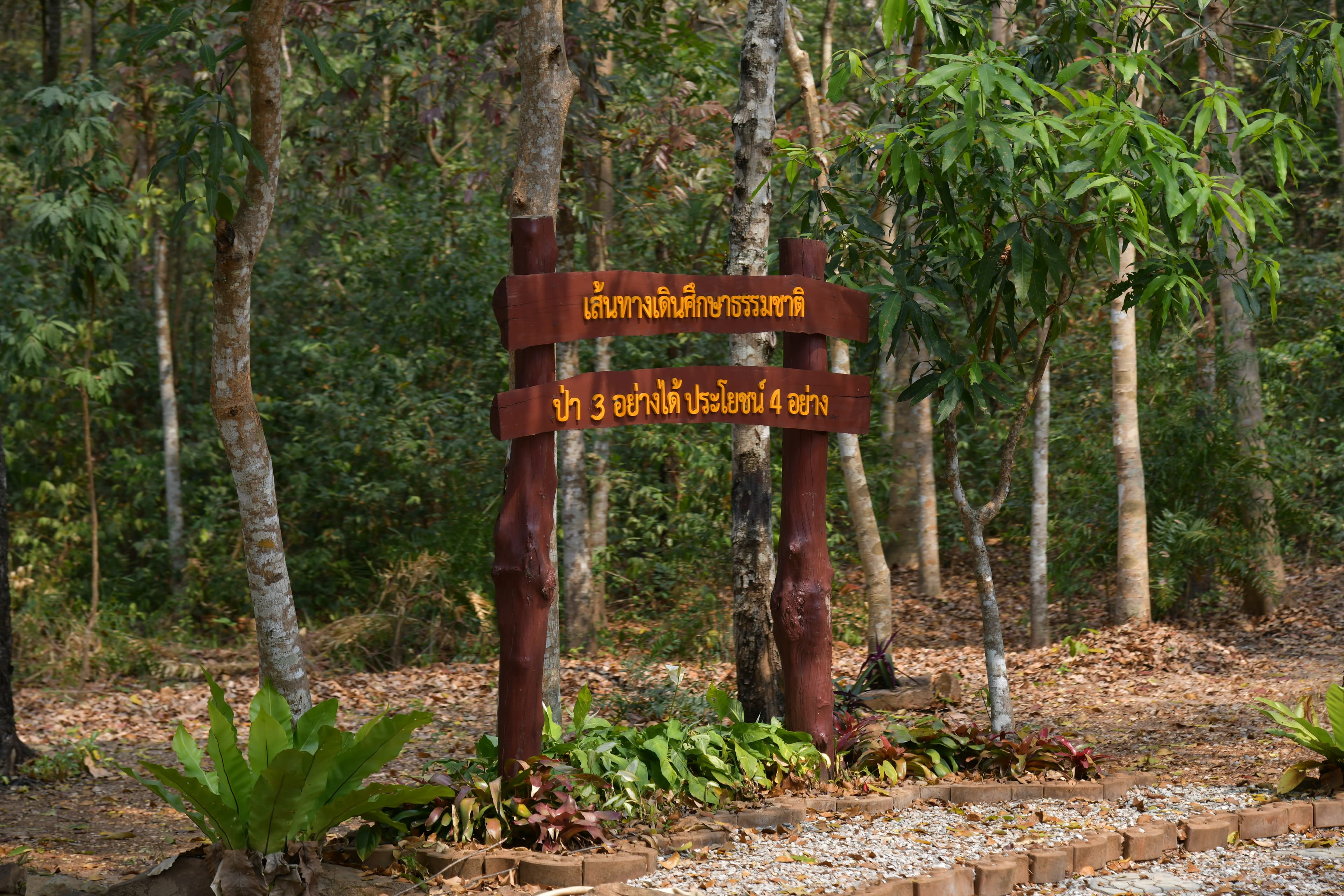 รูปภาพแกลเลอรี