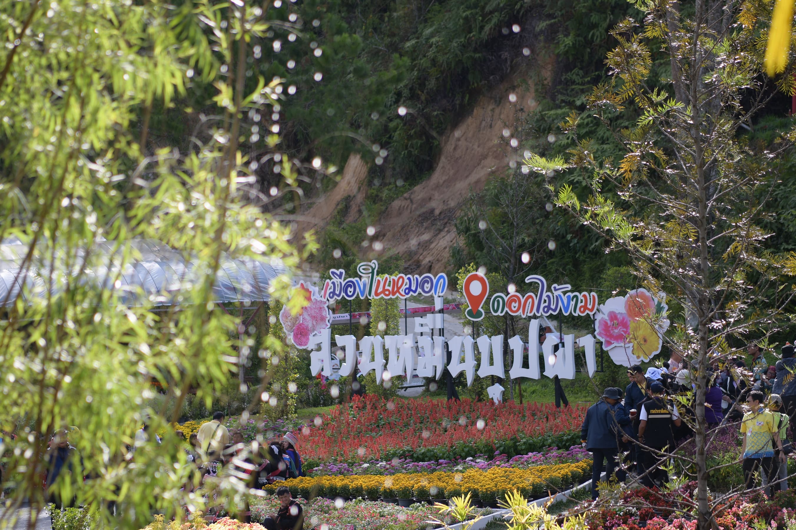 รูปภาพแกลเลอรี