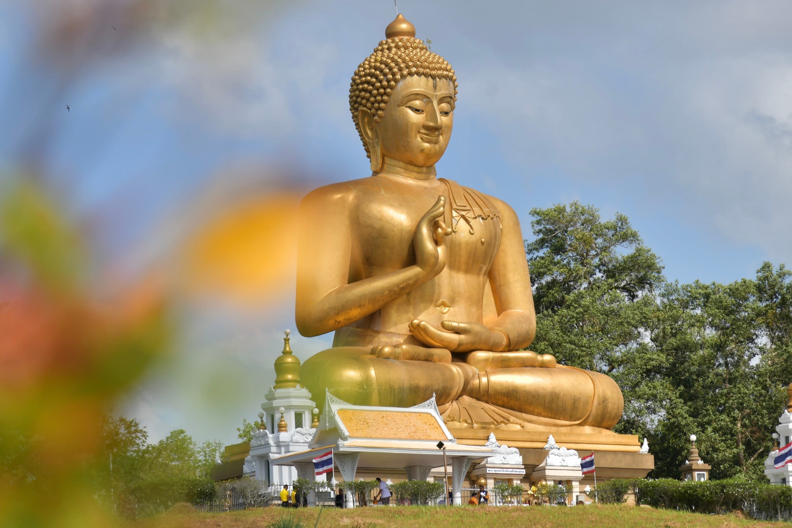 รูปภาพแกลเลอรี