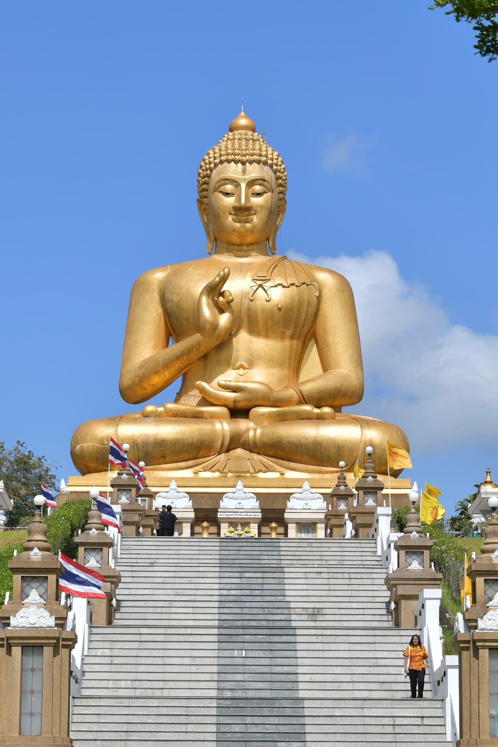 รูปภาพแกลเลอรี