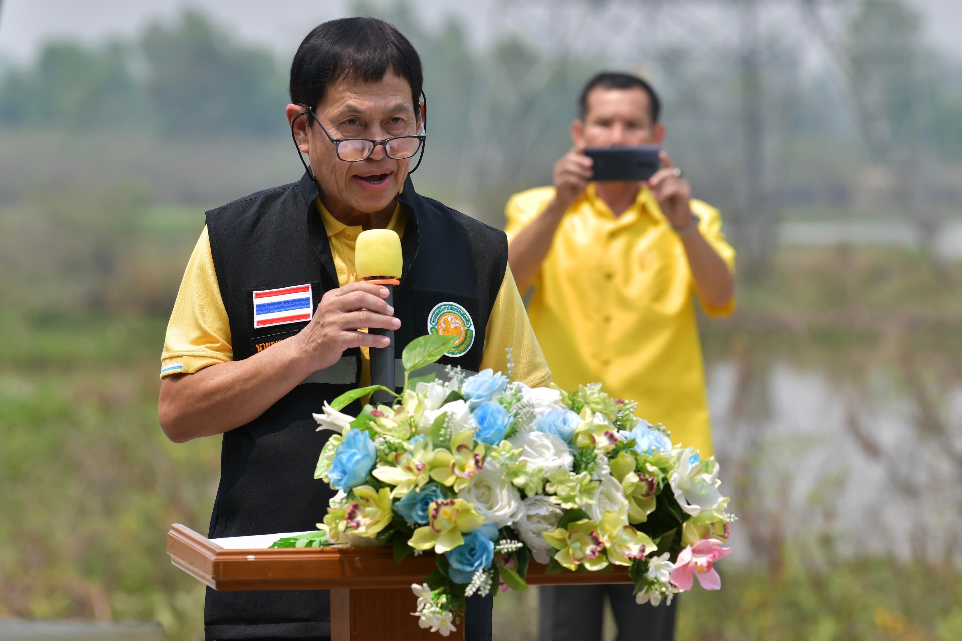 รูปภาพแกลเลอรี