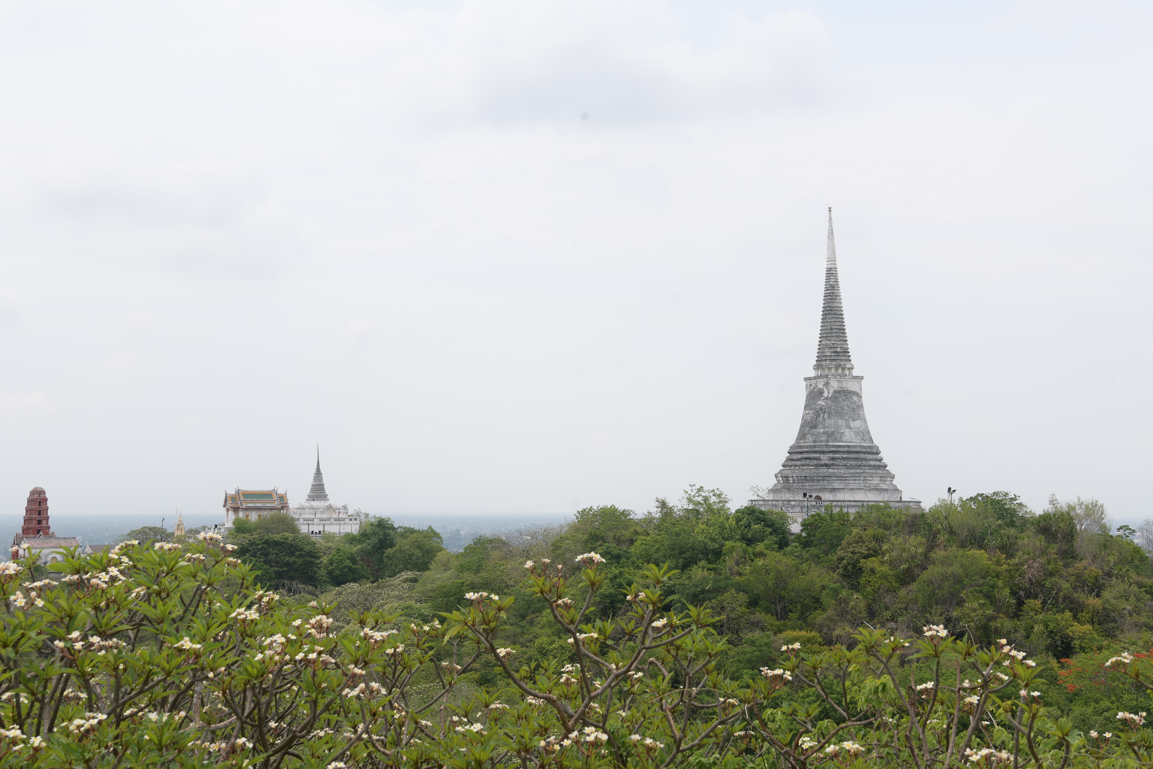 รูปภาพแกลเลอรี