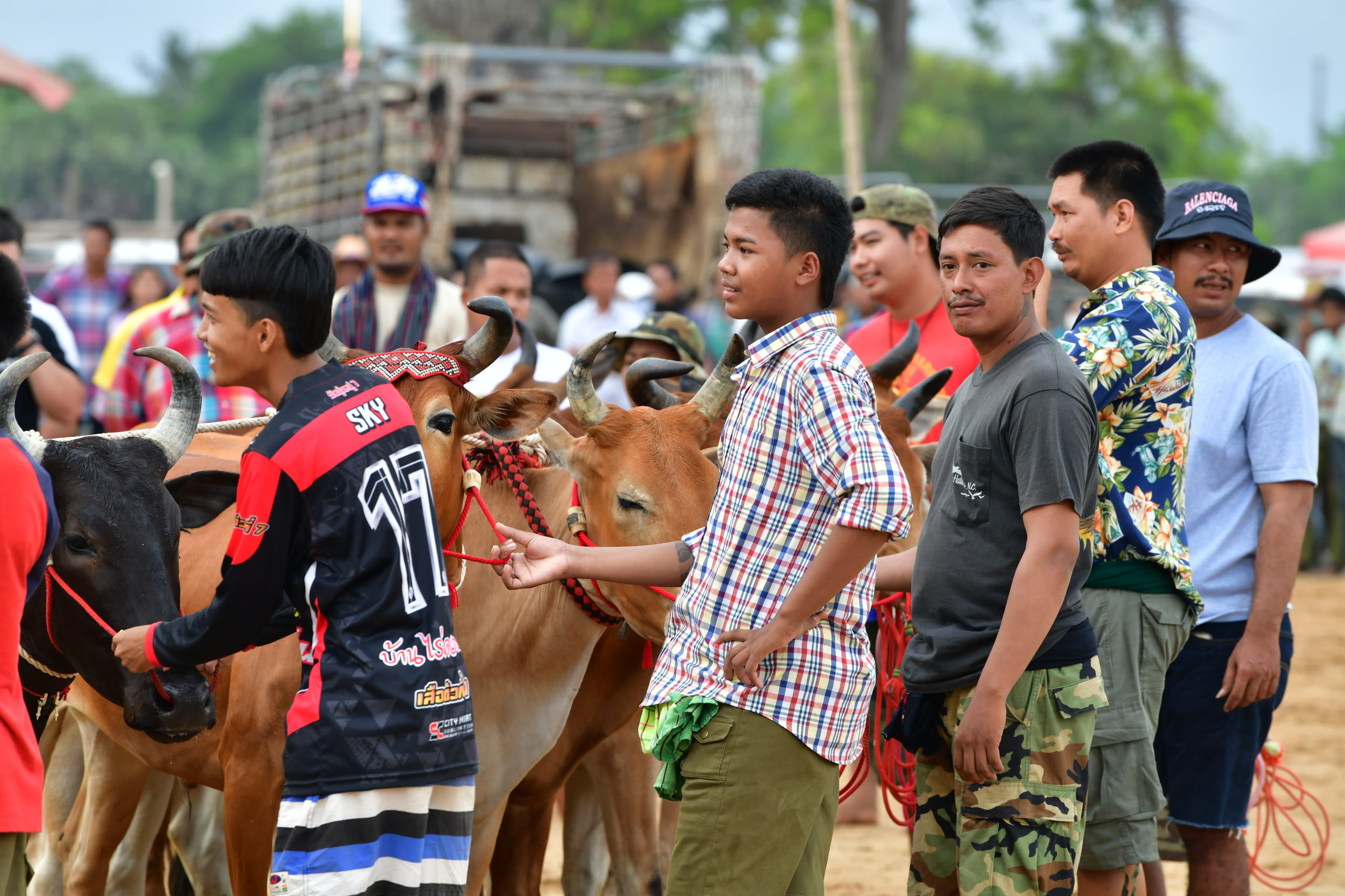 รูปภาพแกลเลอรี