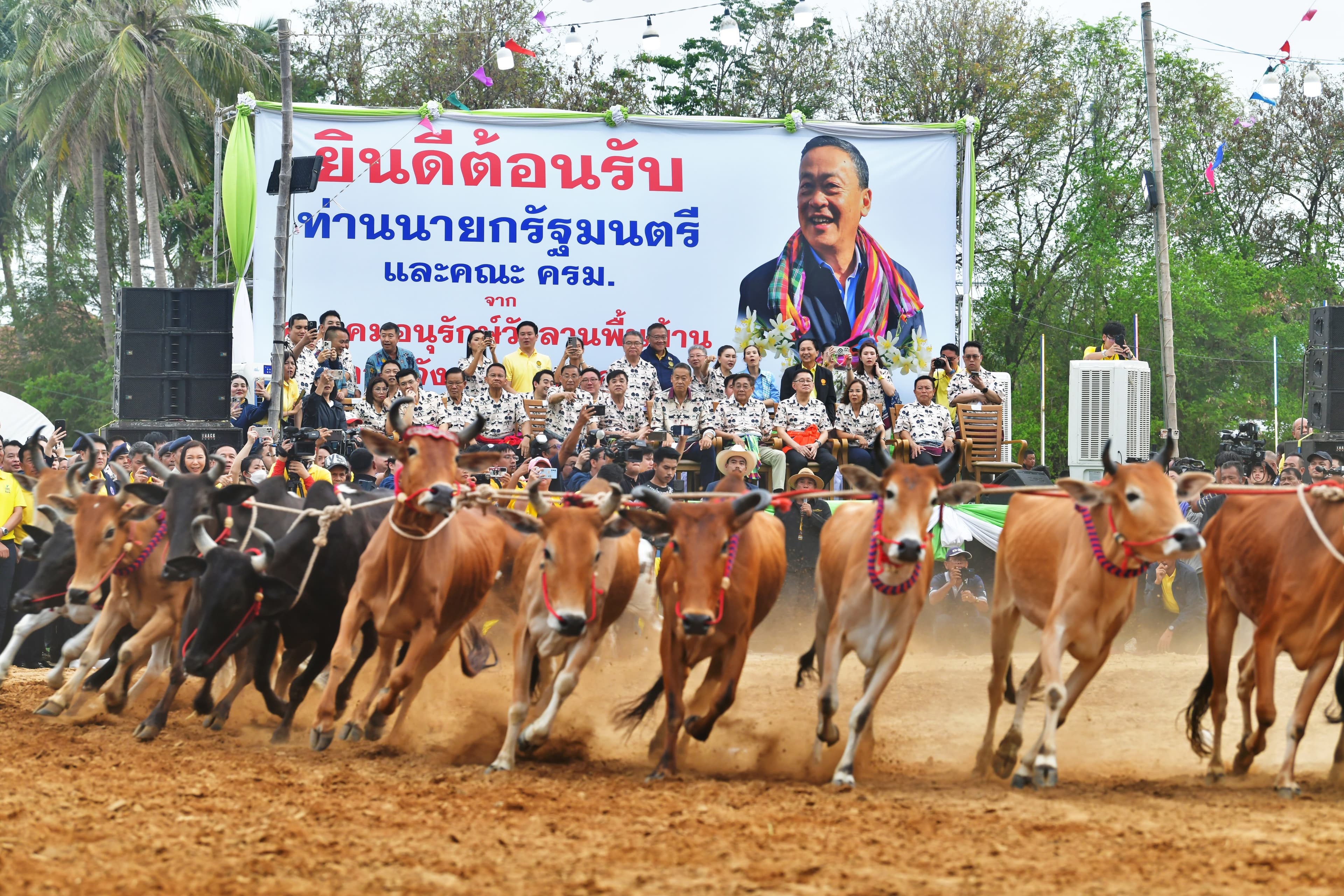 รูปภาพแกลเลอรี