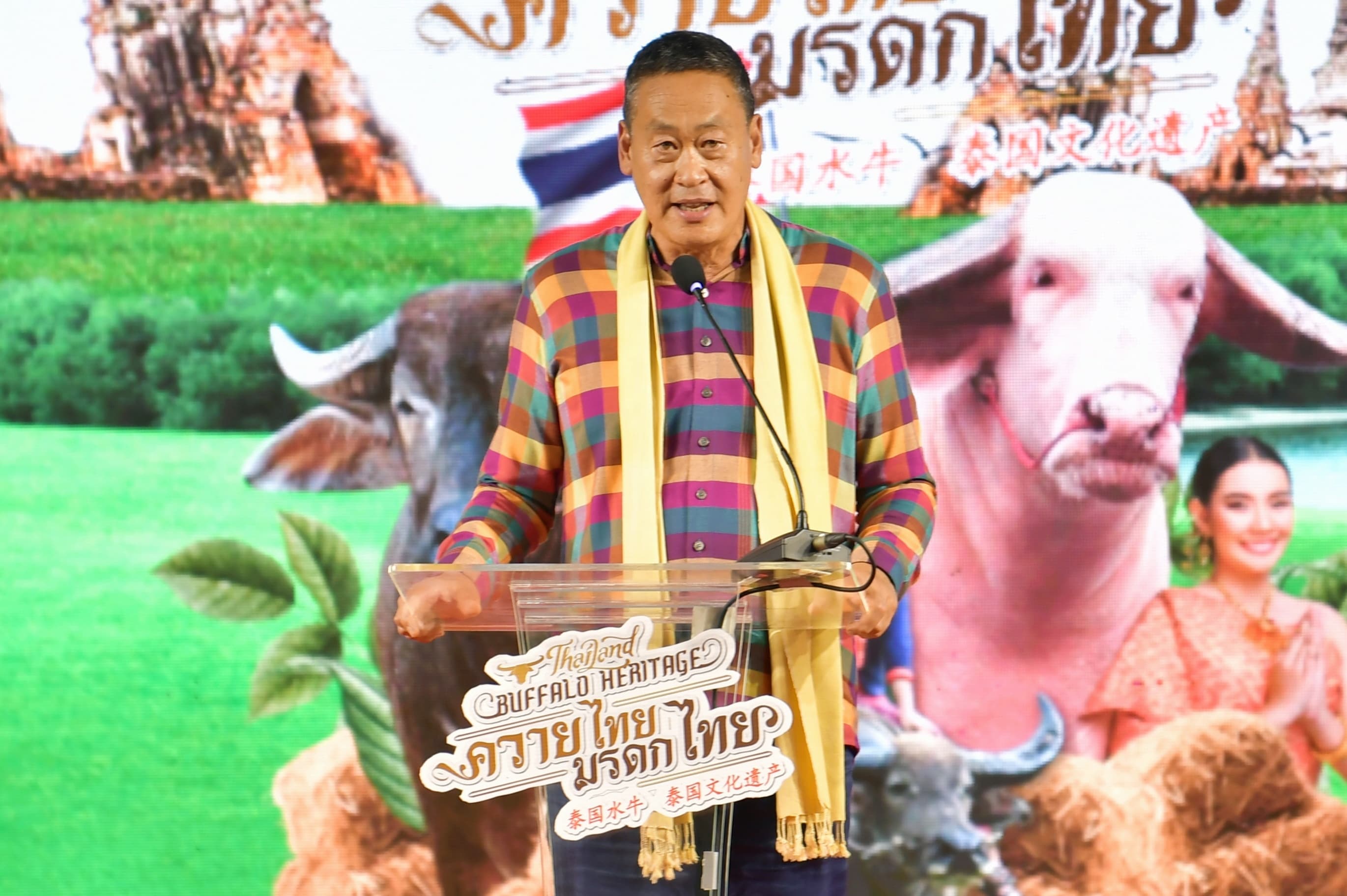 รูปภาพแกลเลอรี