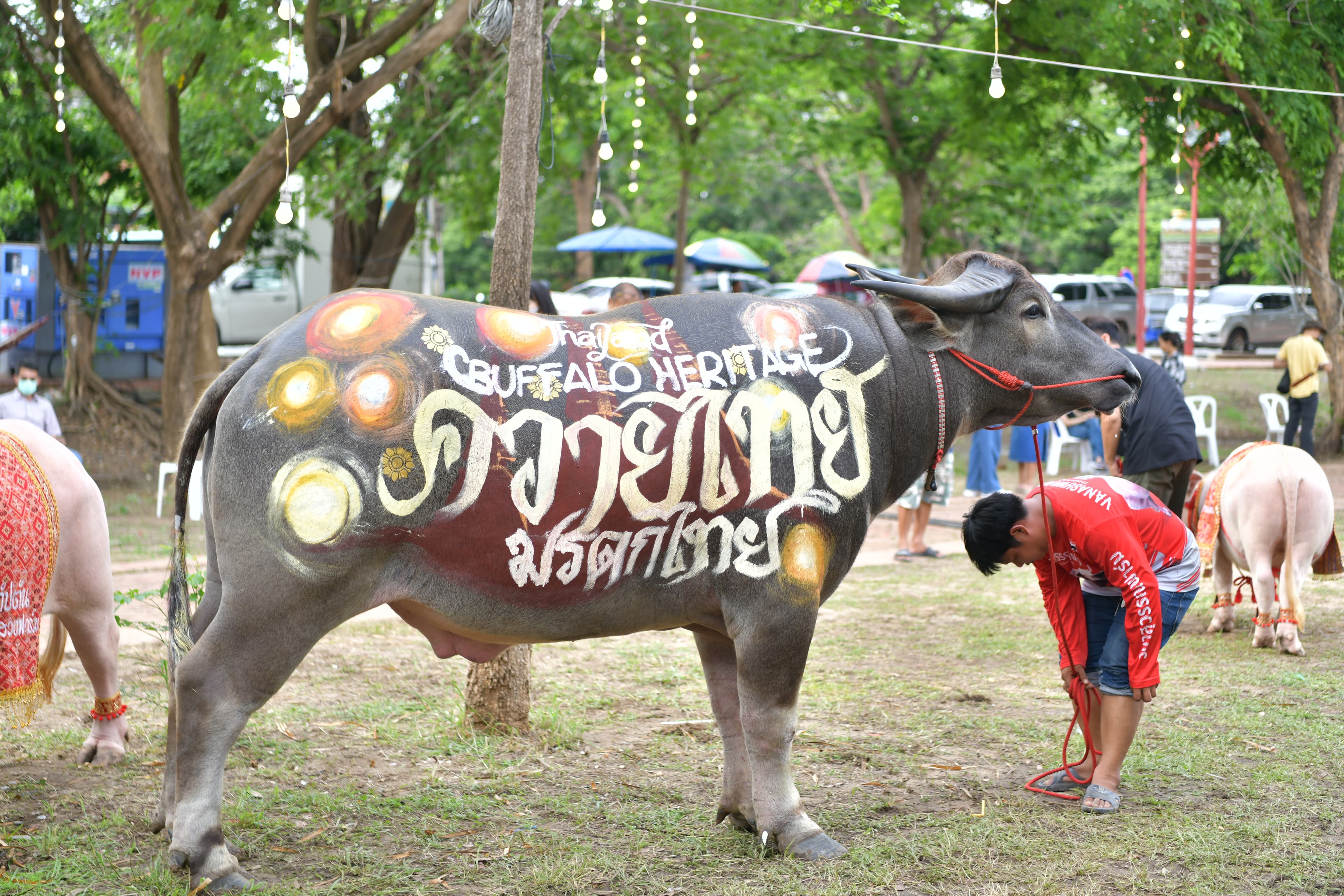 รูปภาพแกลเลอรี