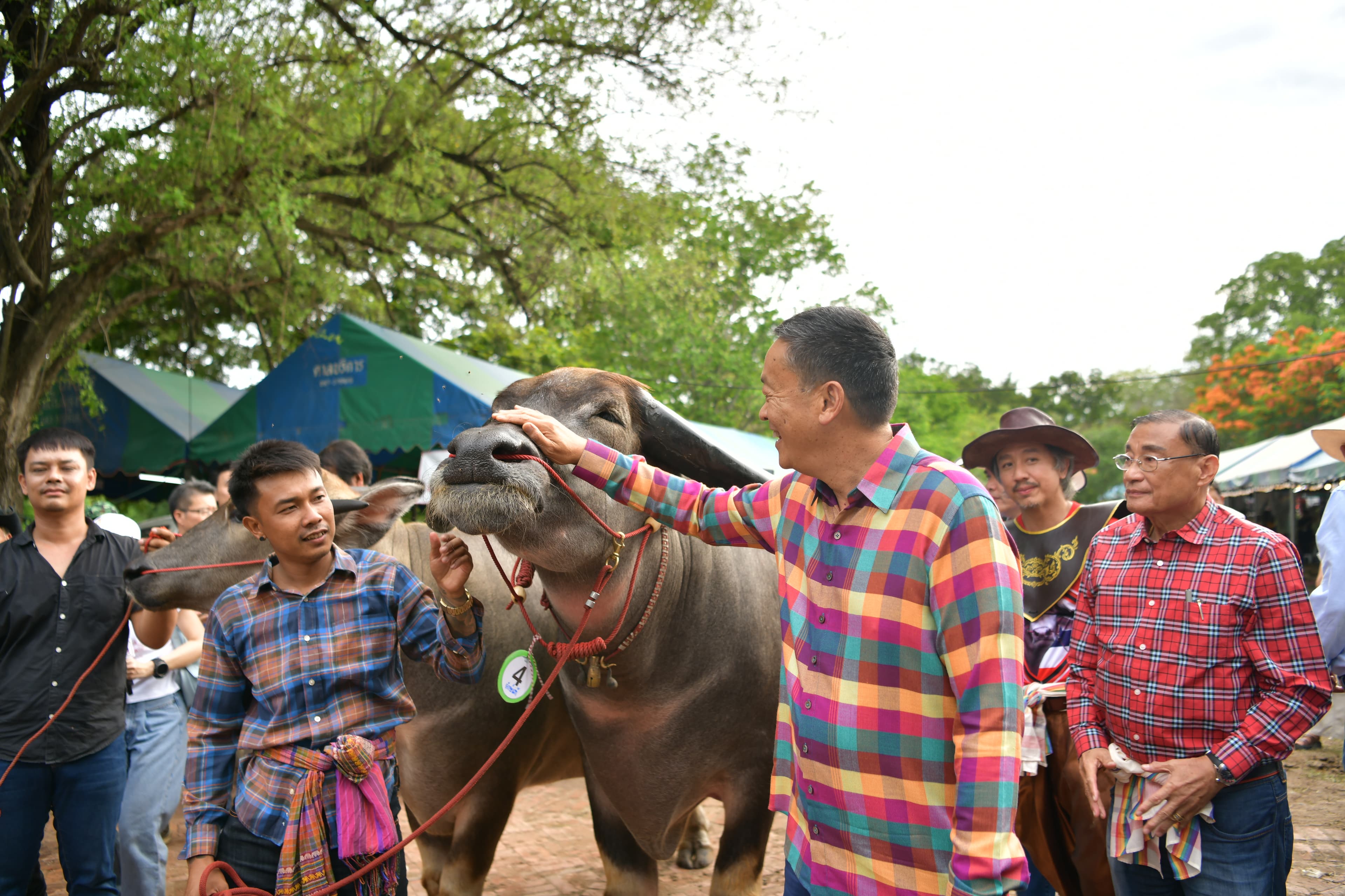 รูปภาพแกลเลอรี