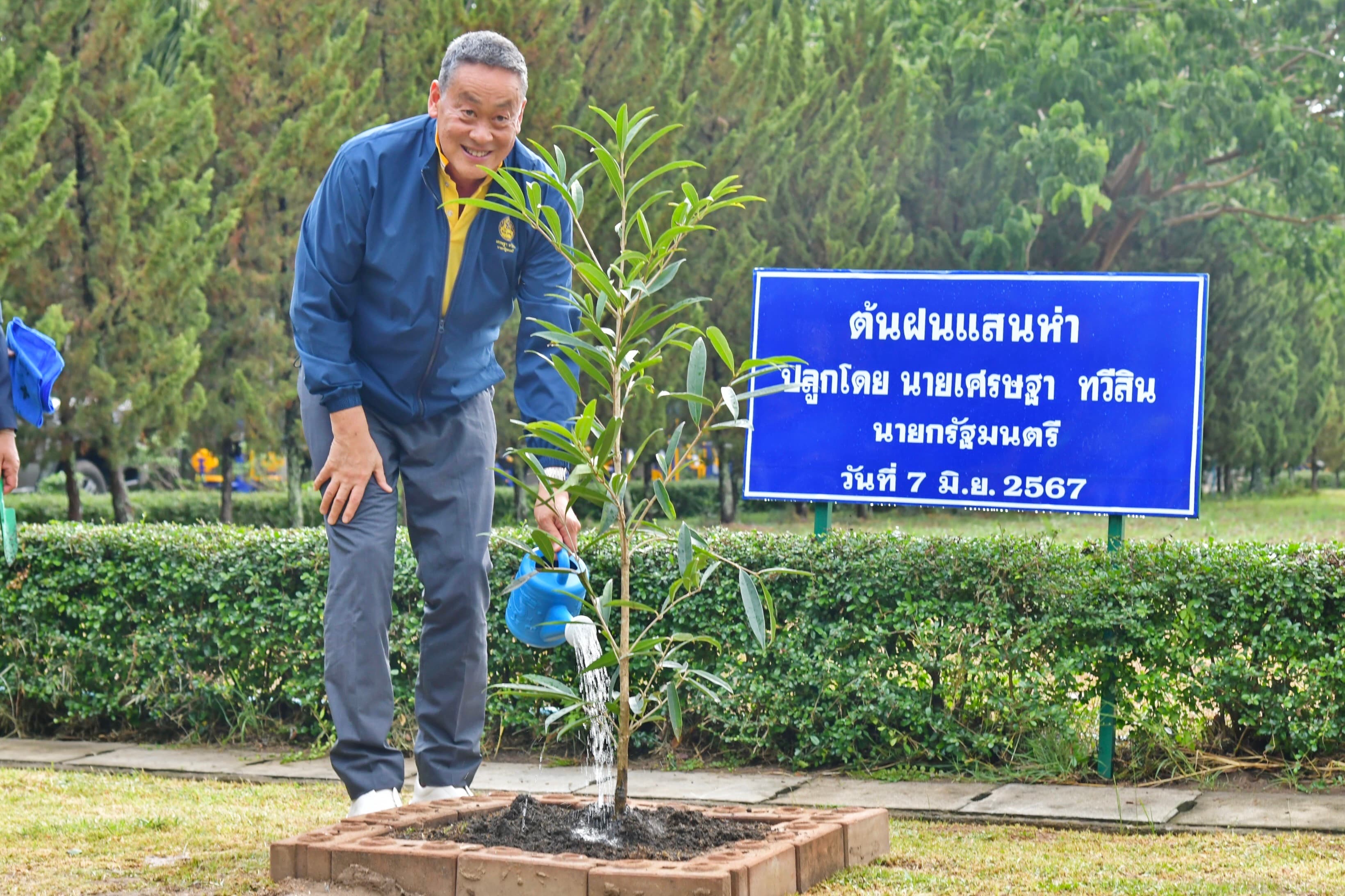 รูปภาพแกลเลอรี