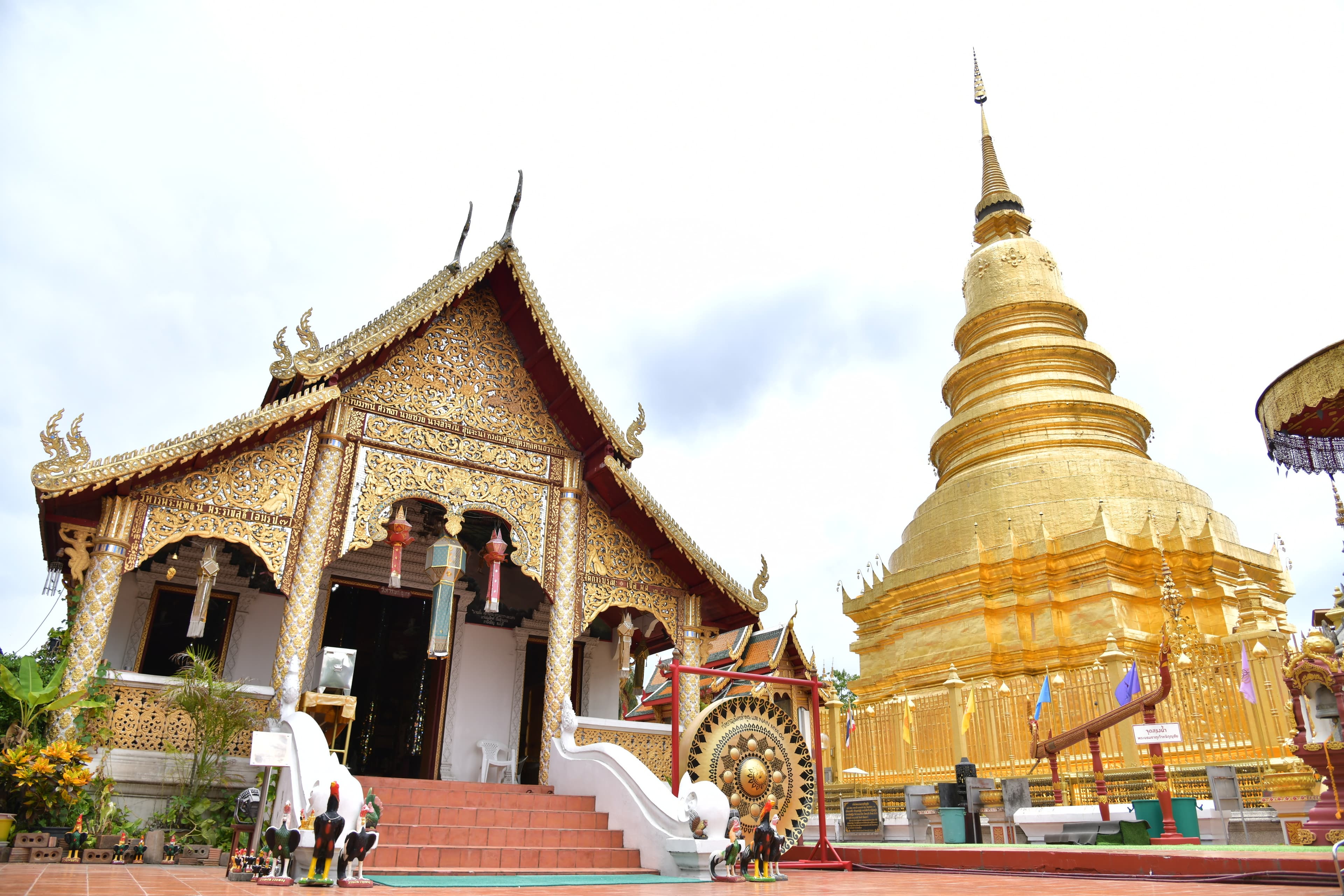 รูปภาพแกลเลอรี
