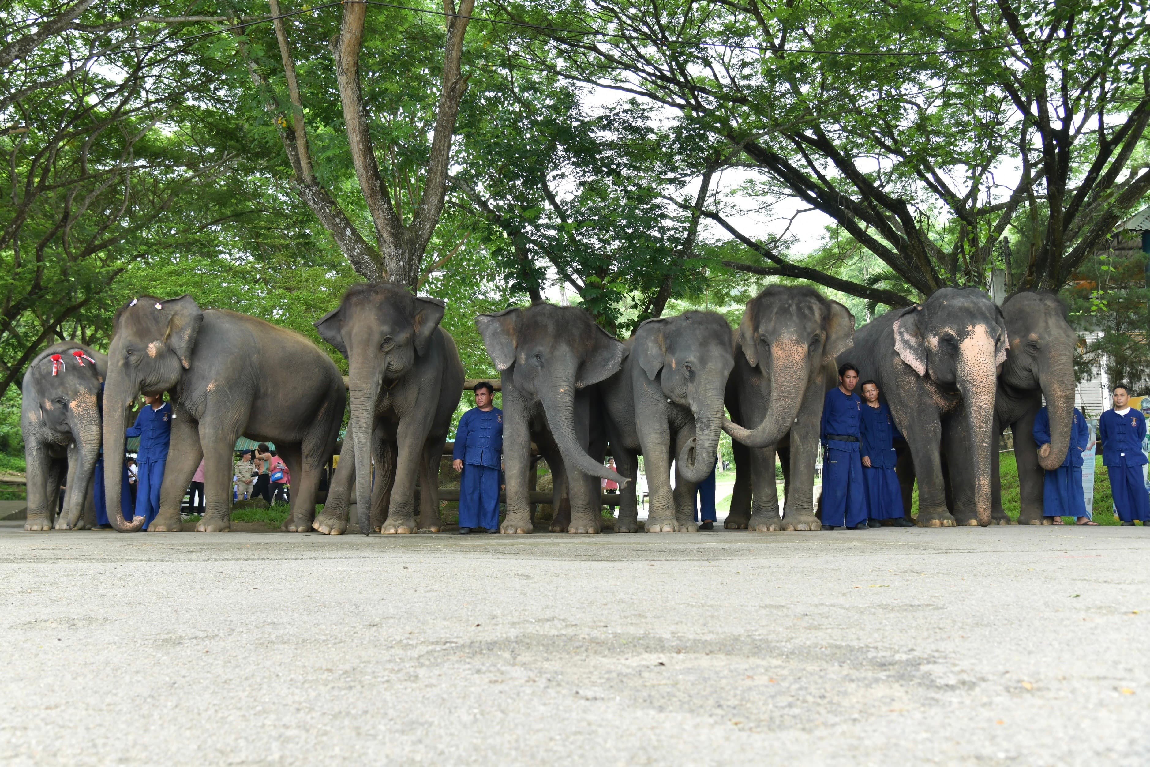 รูปภาพแกลเลอรี