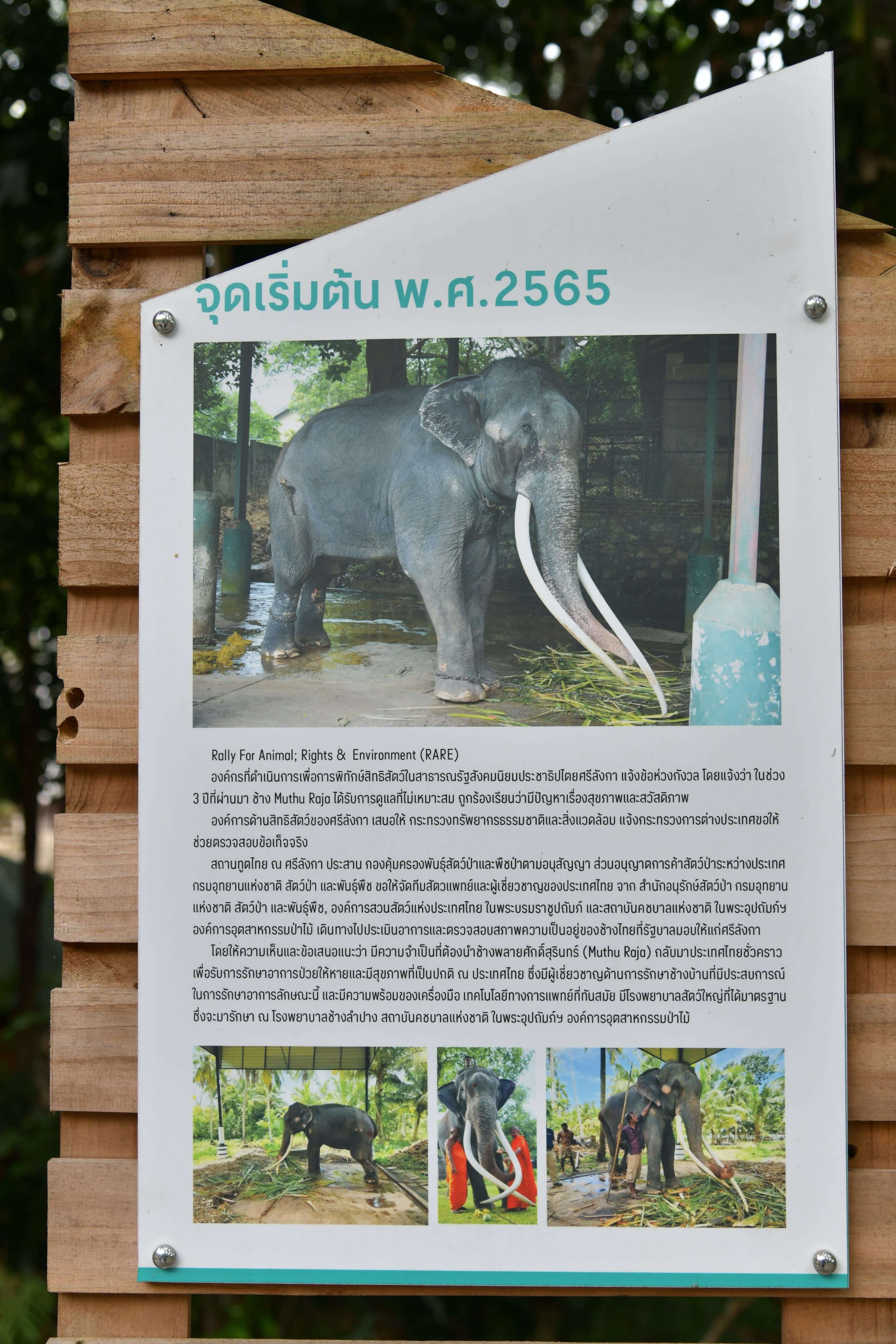 รูปภาพแกลเลอรี