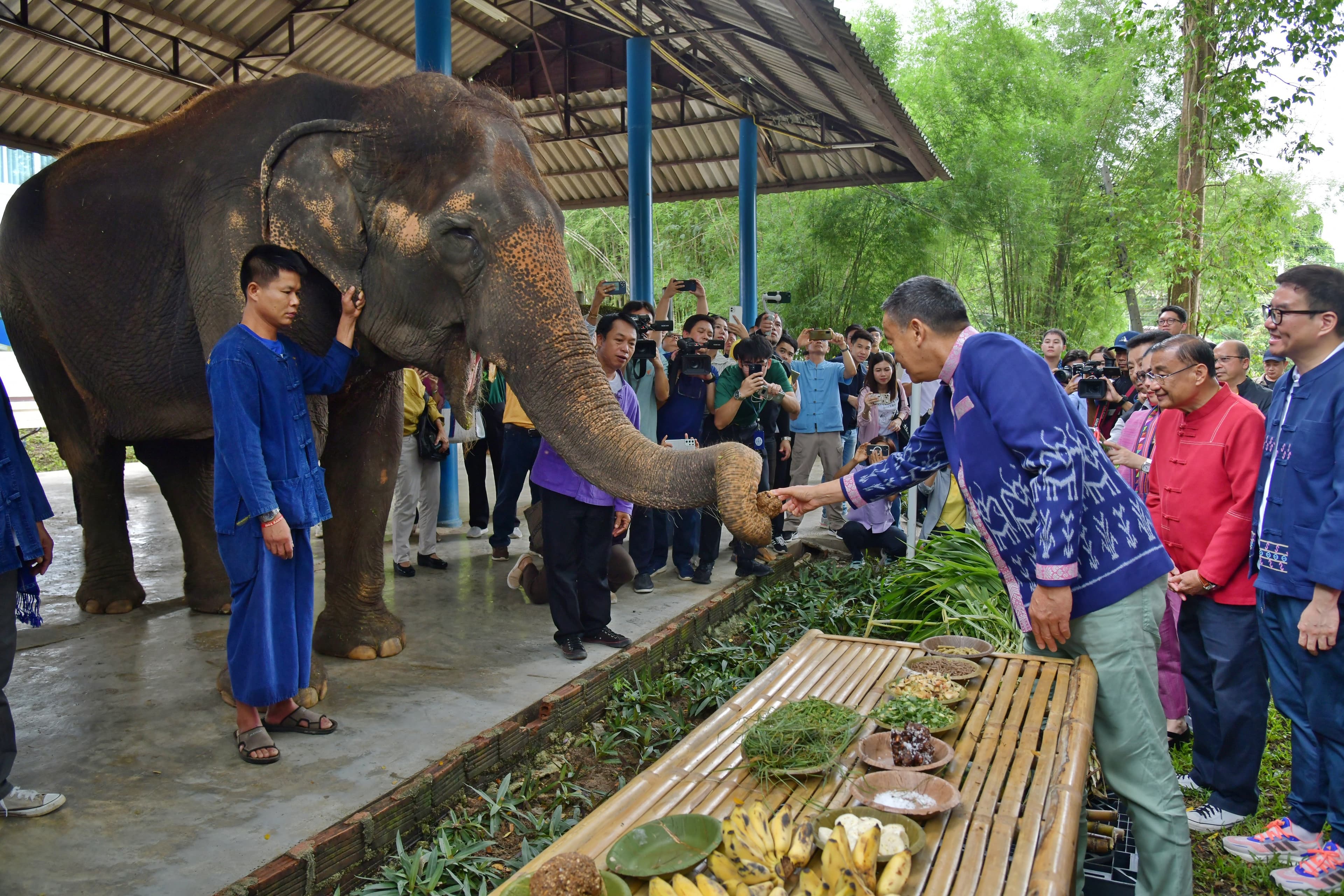 รูปภาพแกลเลอรี