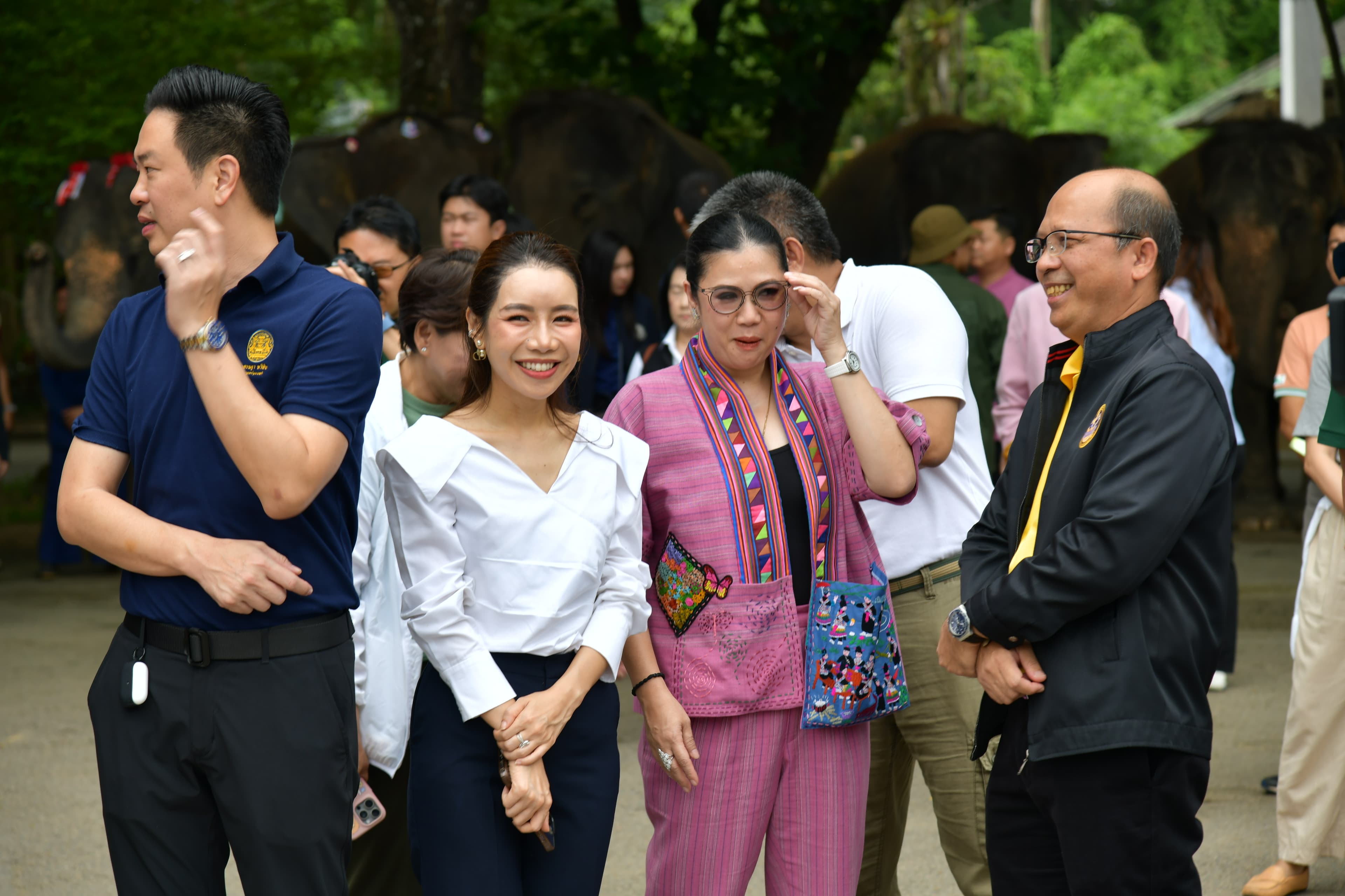 รูปภาพแกลเลอรี