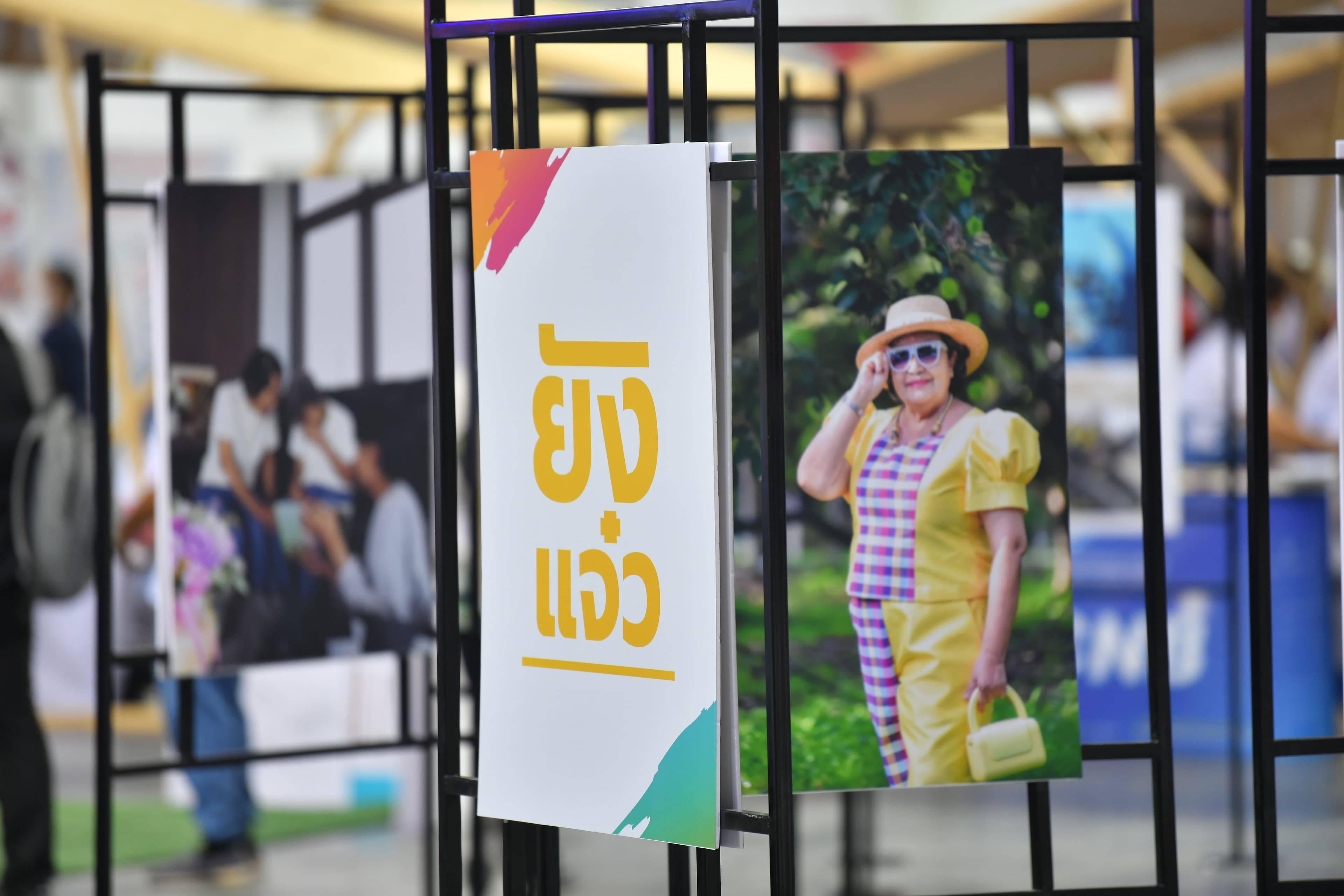 รูปภาพแกลเลอรี
