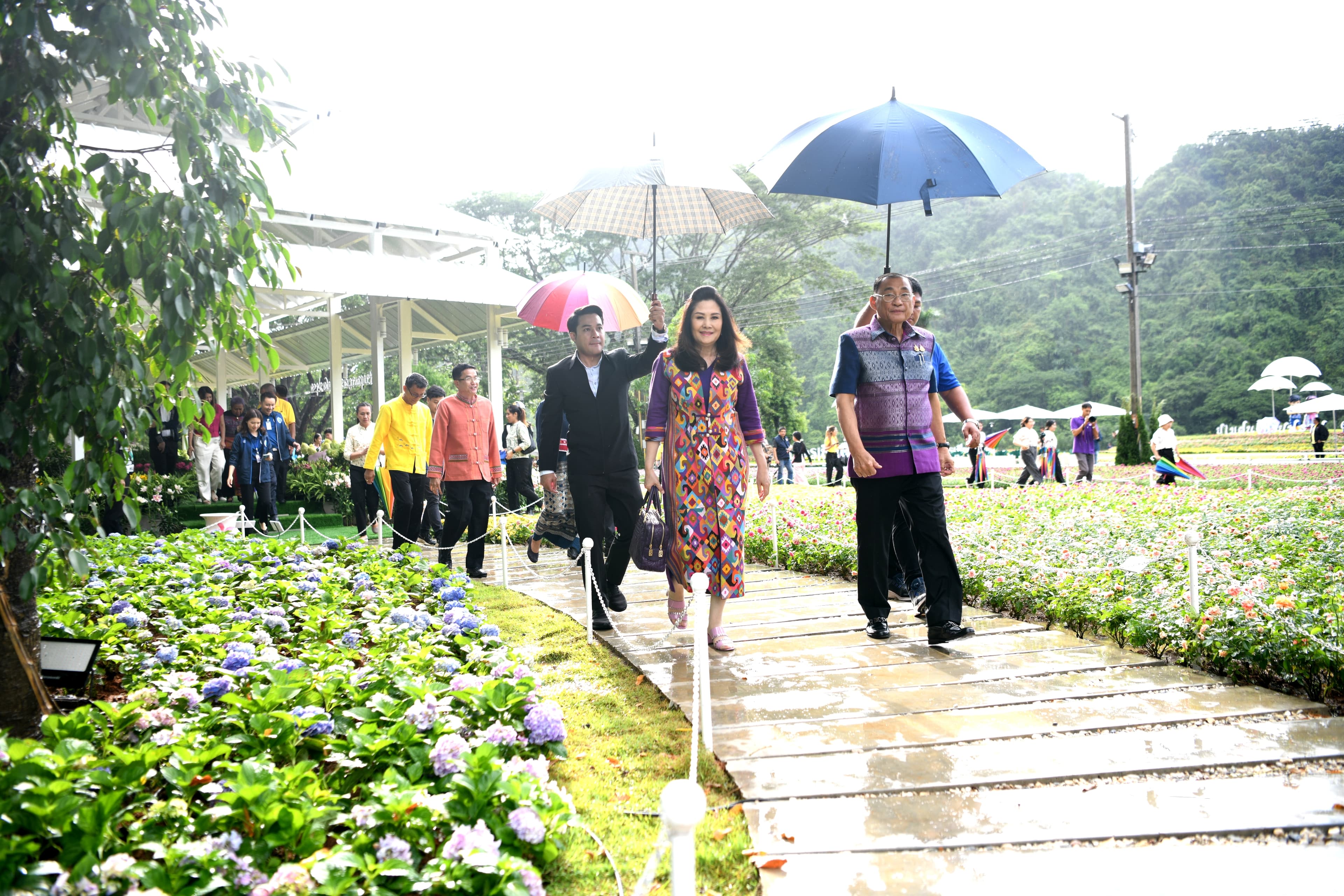 รูปภาพแกลเลอรี