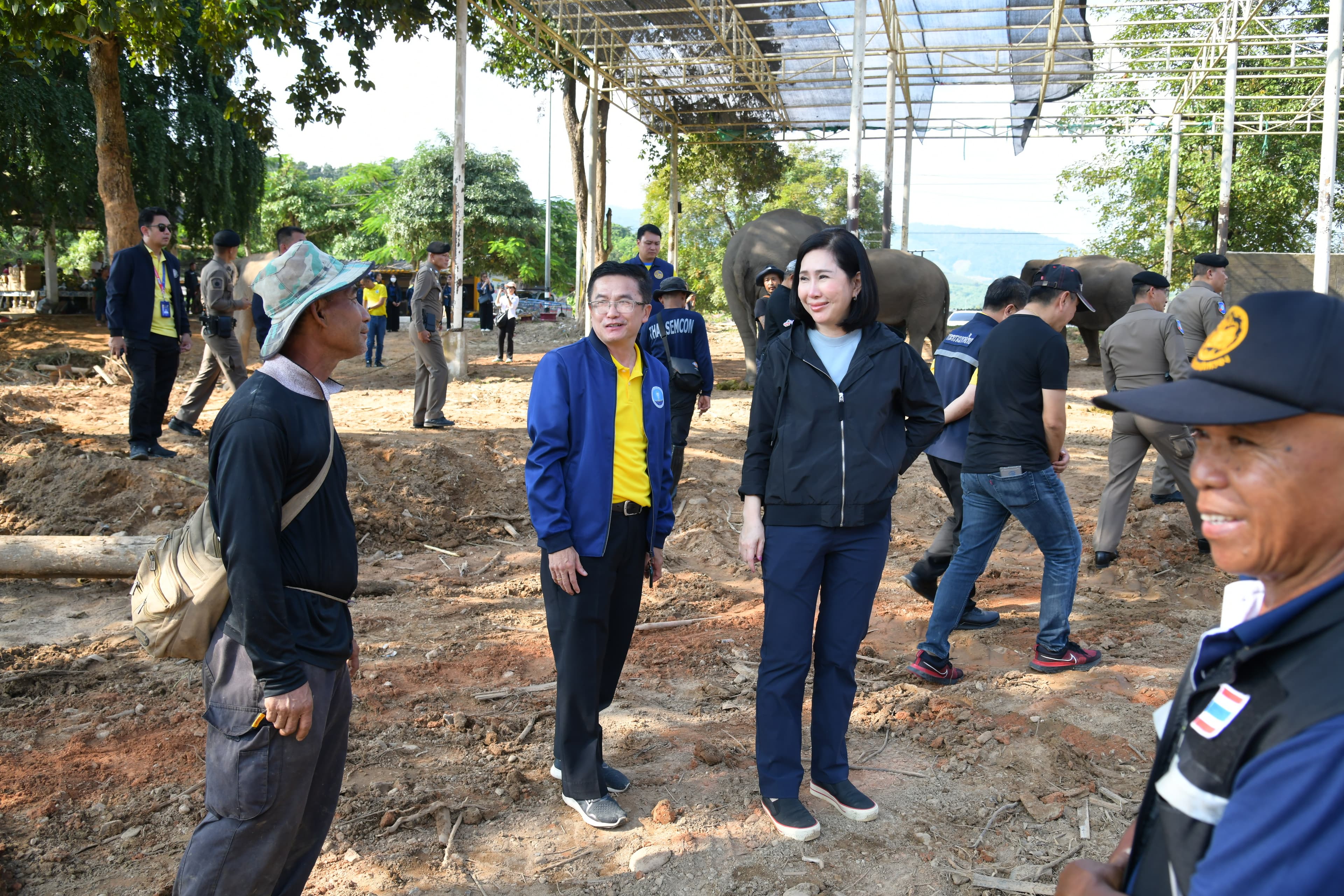 รูปภาพแกลเลอรี