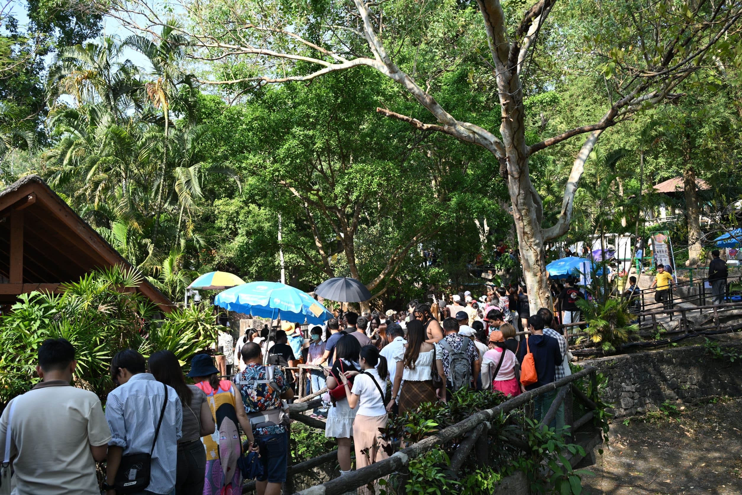 รูปภาพแกลเลอรี