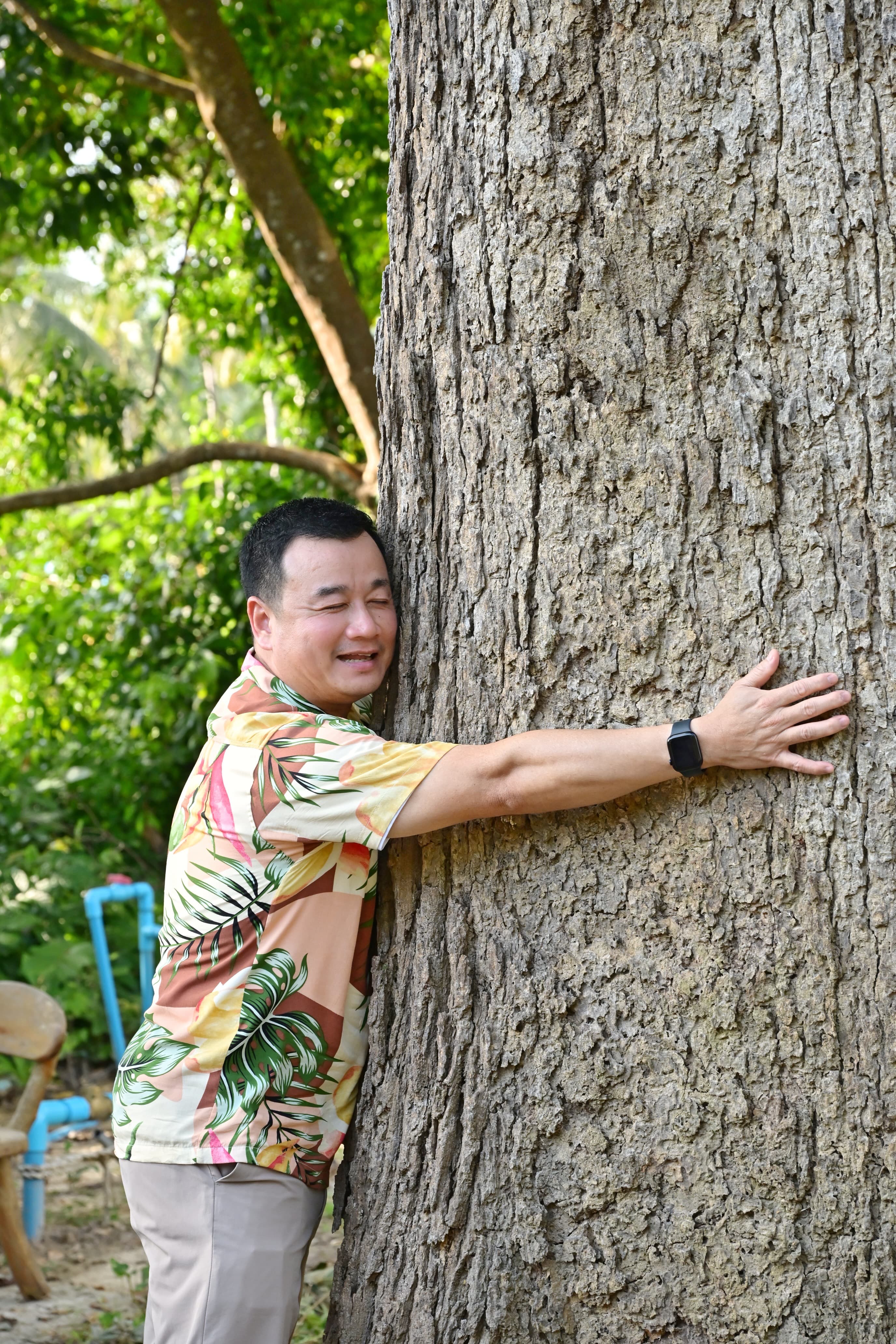 รูปภาพแกลเลอรี