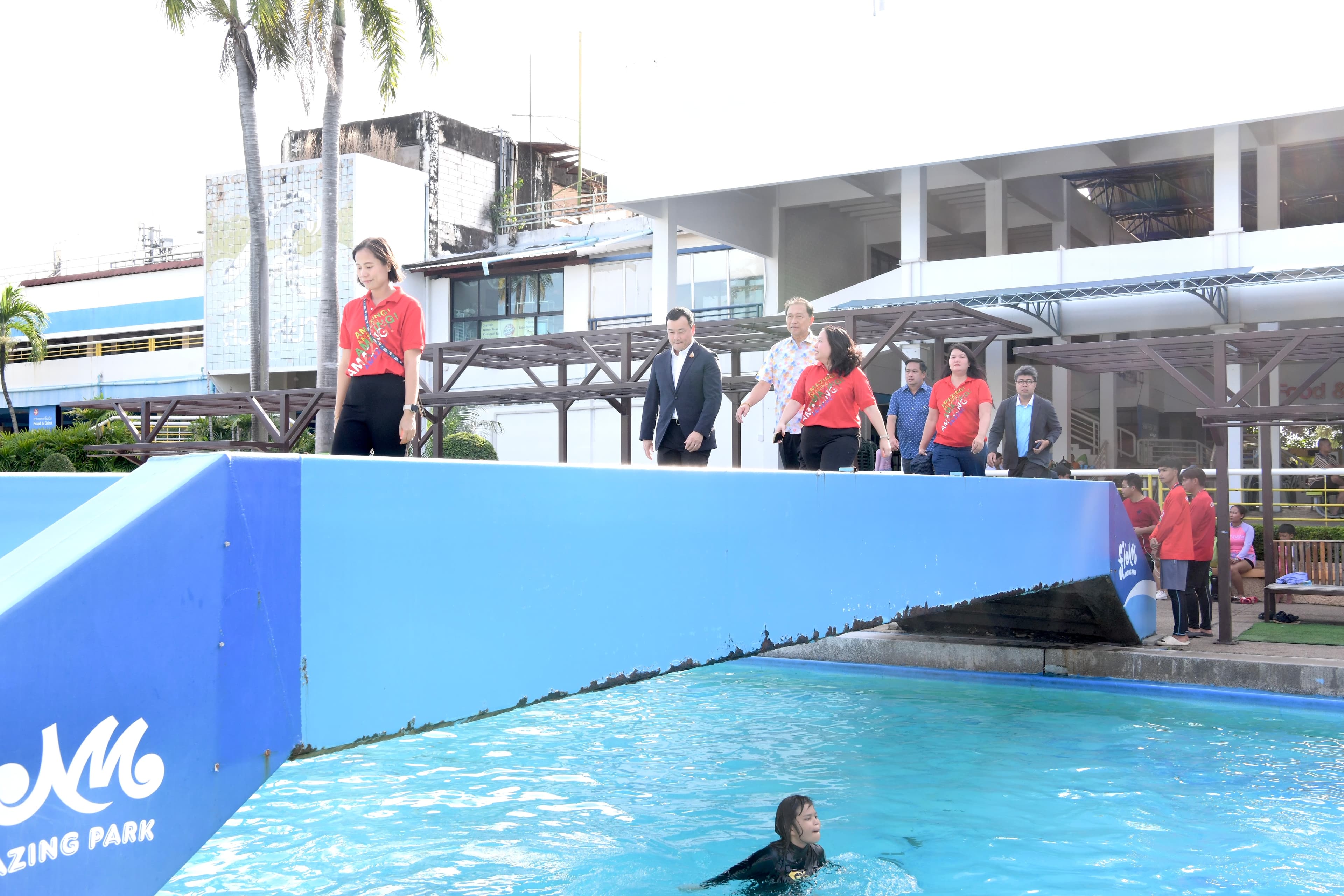 รูปภาพแกลเลอรี