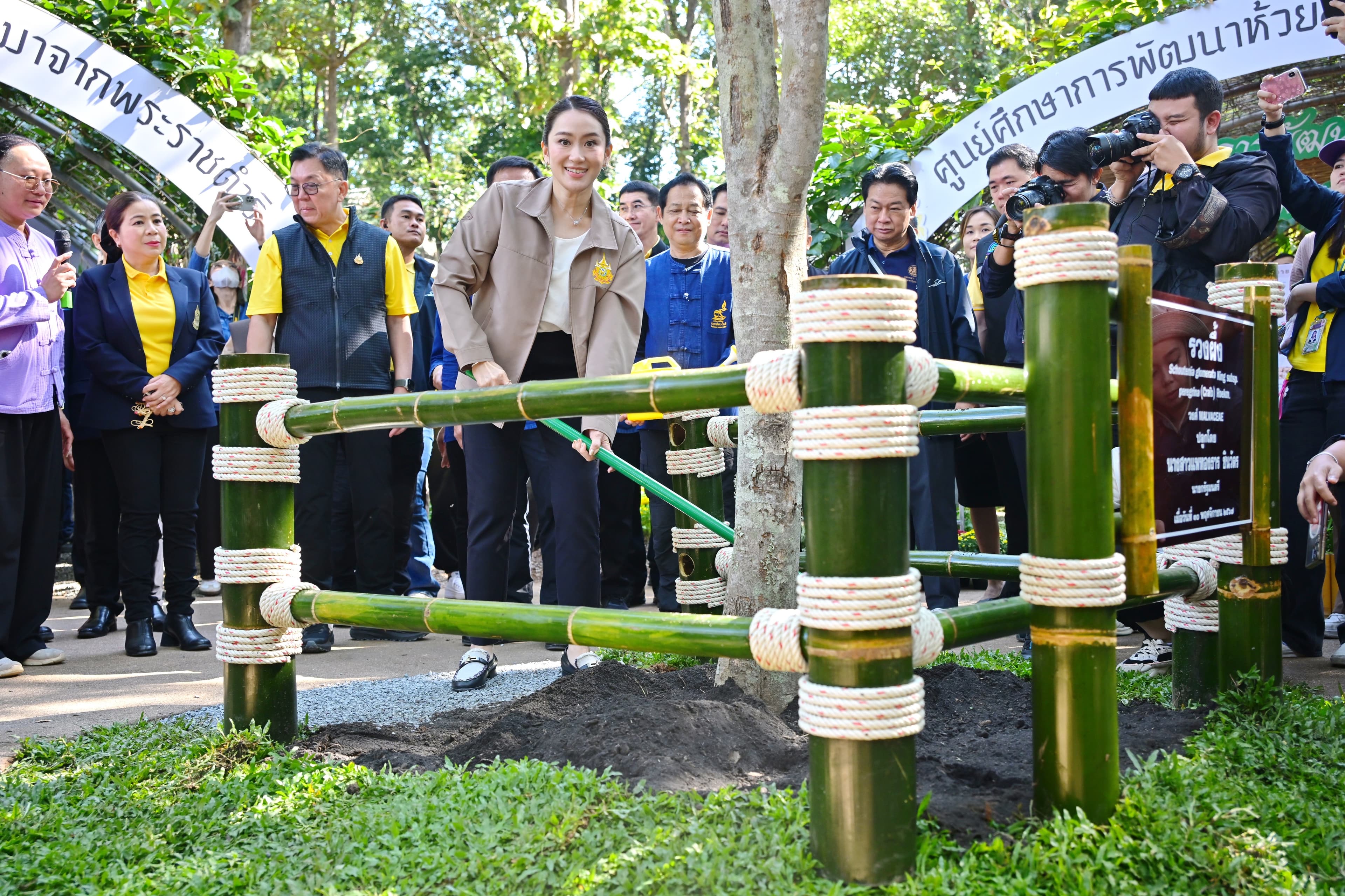 รูปภาพแกลเลอรี