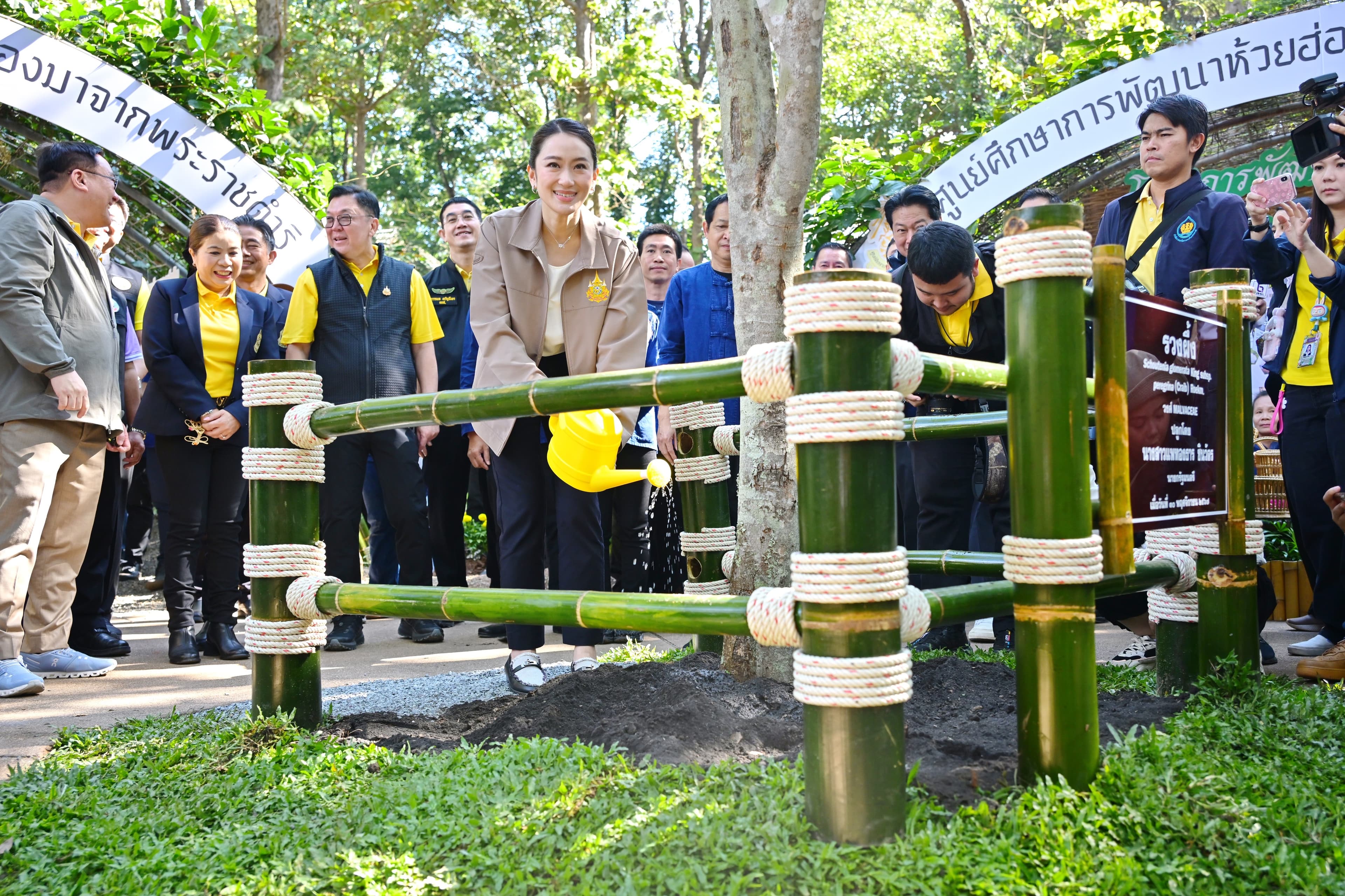 รูปภาพแกลเลอรี