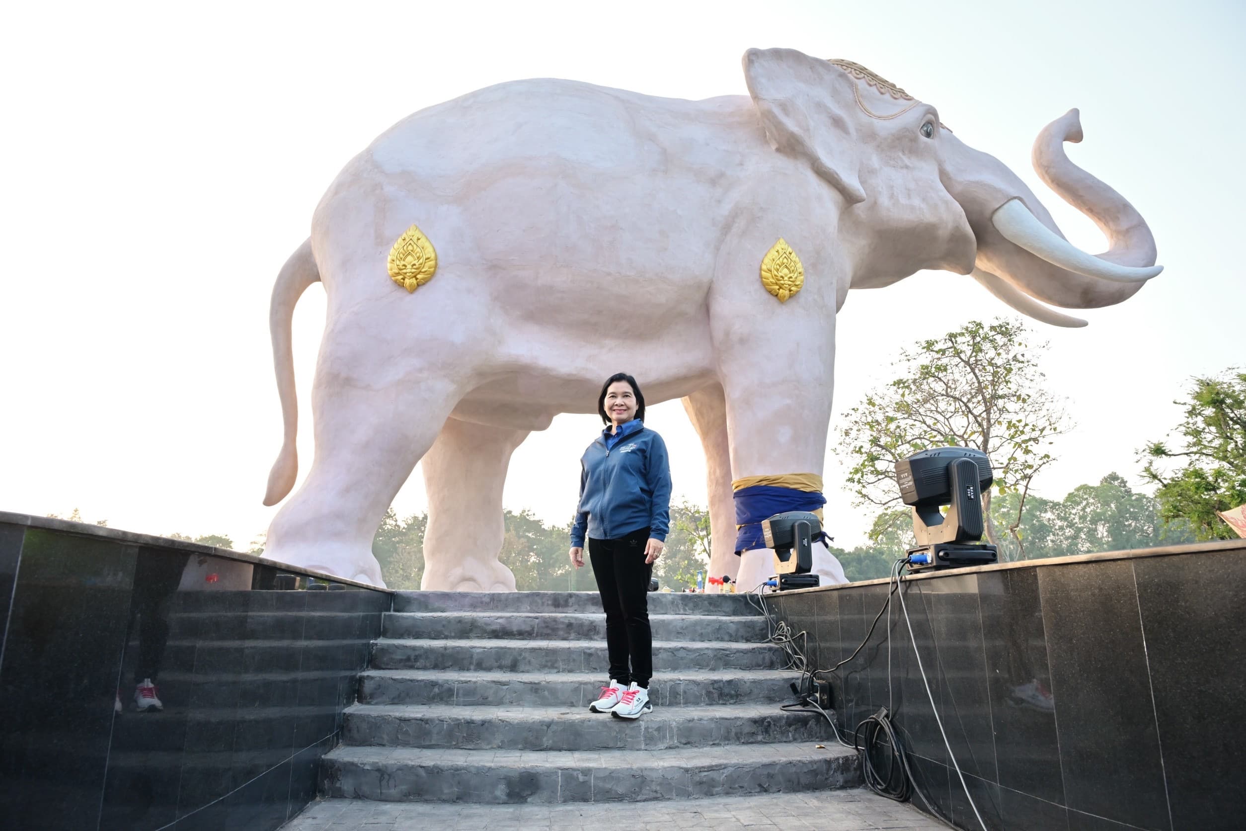 รูปภาพแกลเลอรี