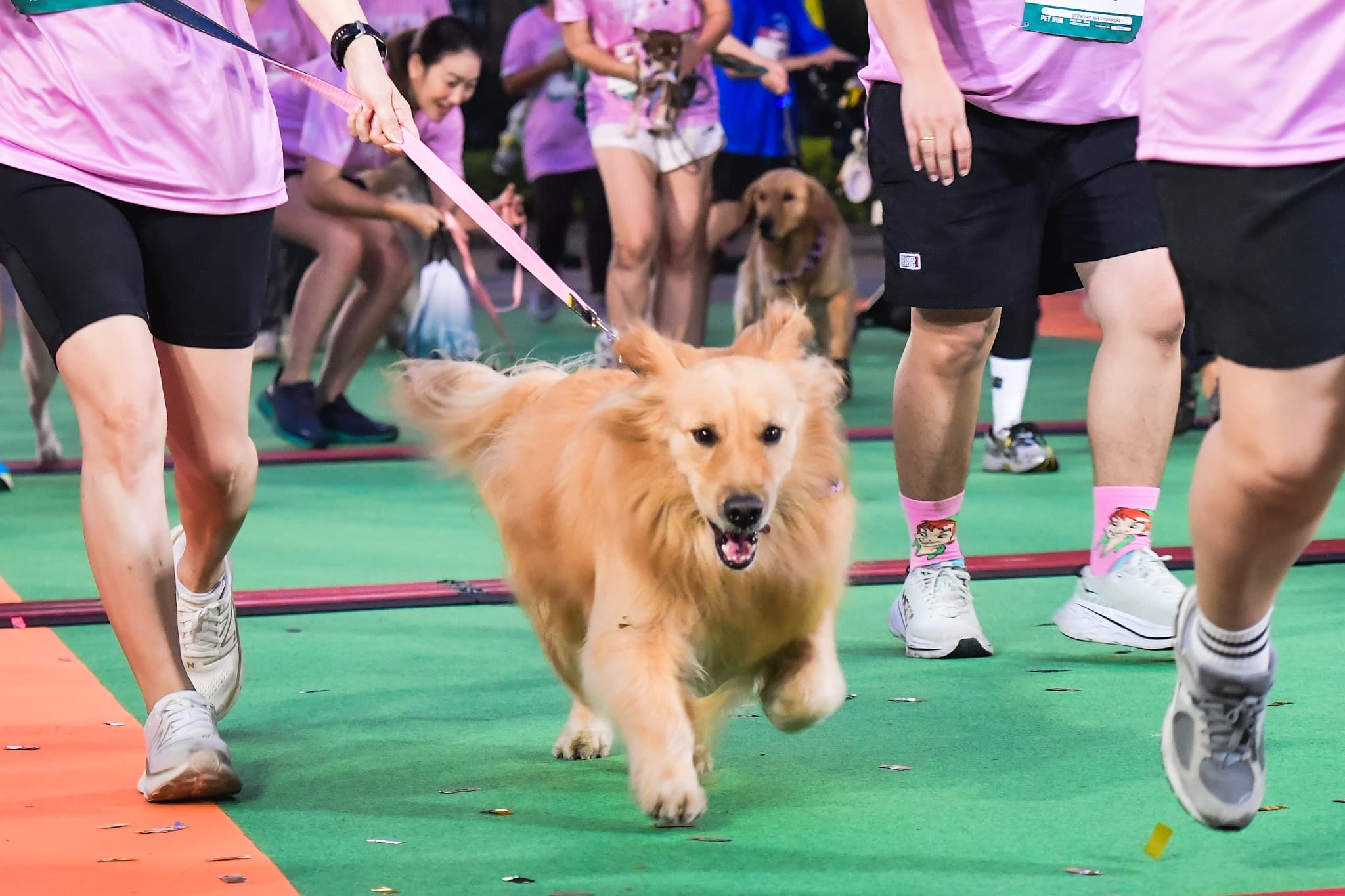 รูปภาพแกลเลอรี
