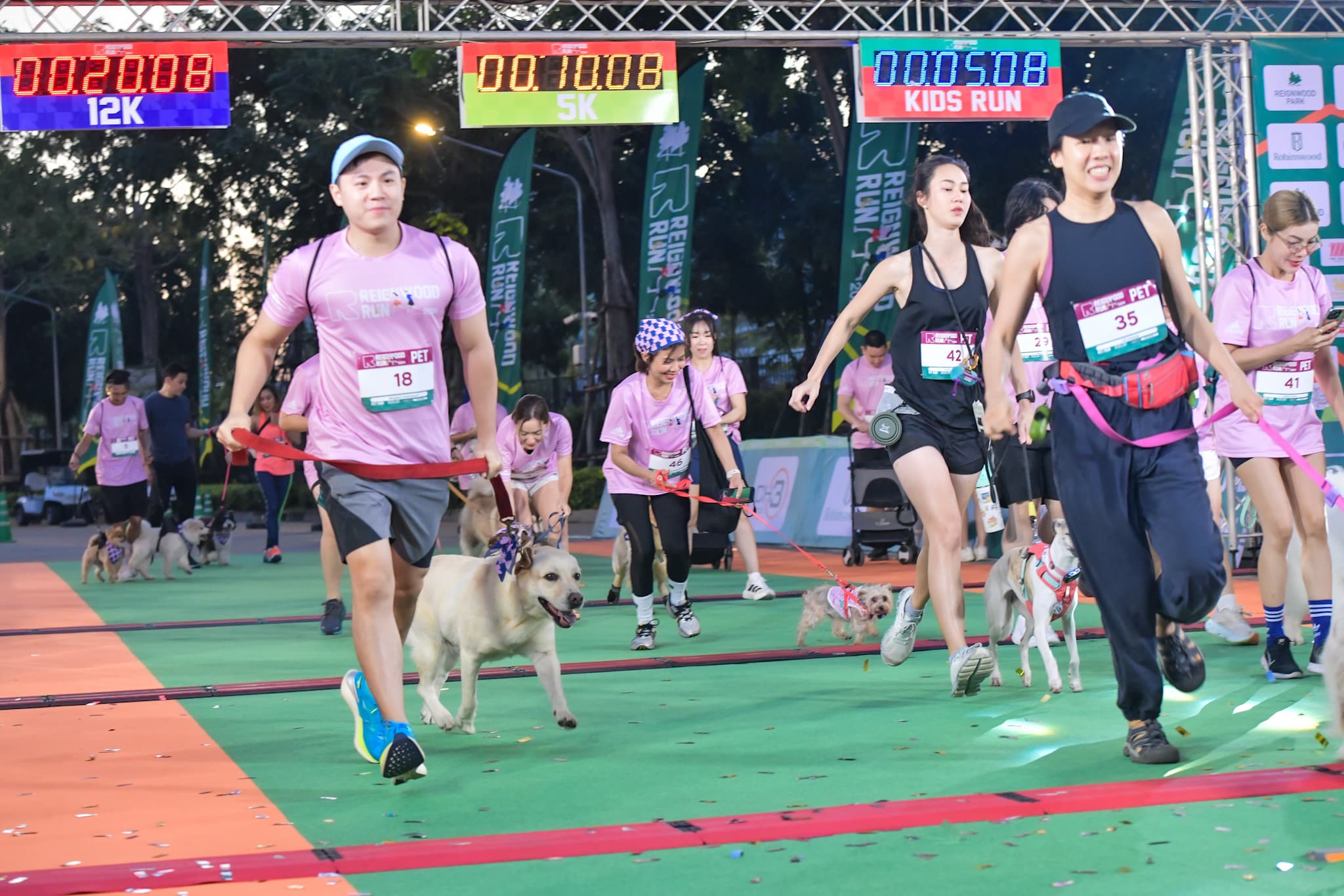 รูปภาพแกลเลอรี