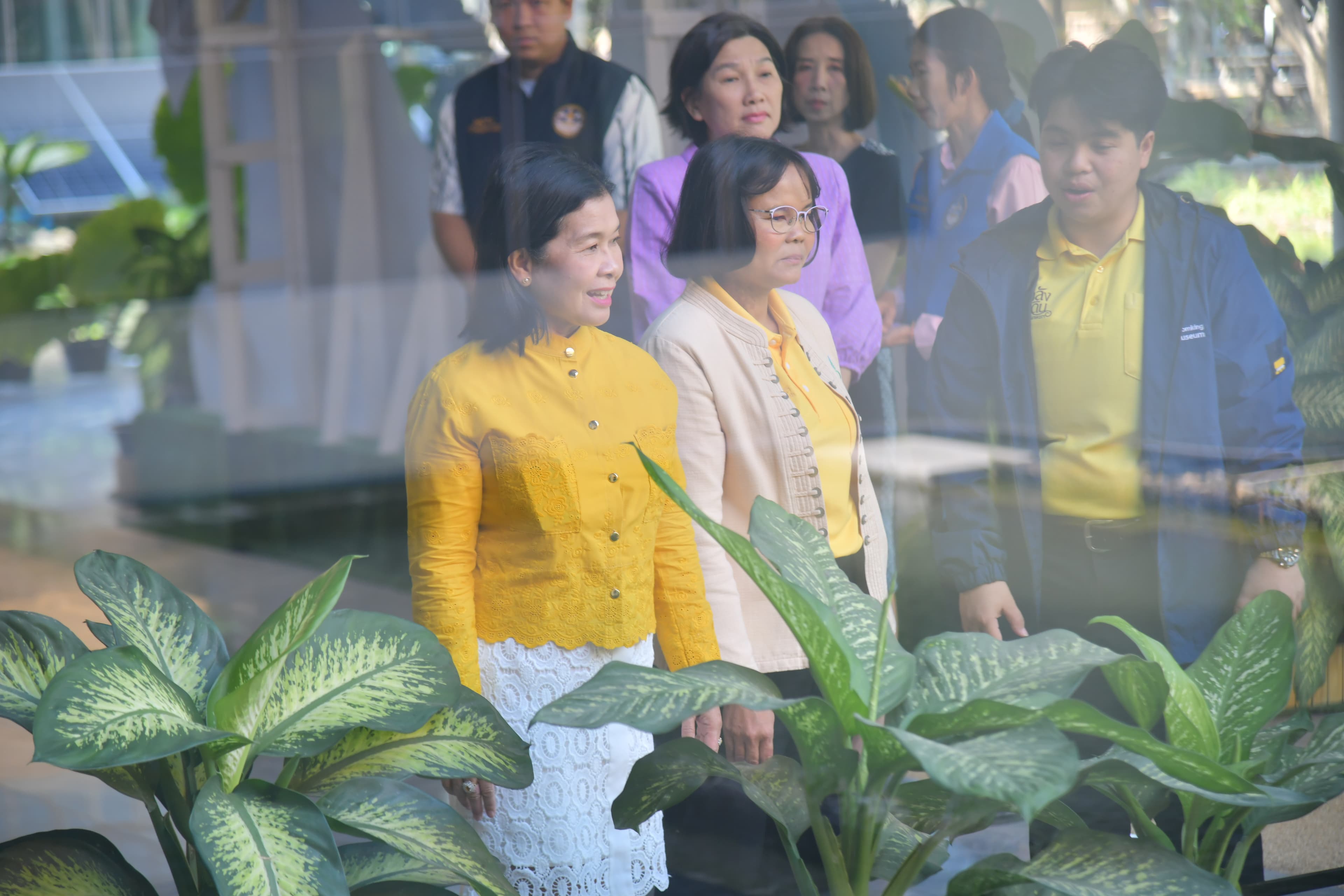 รูปภาพแกลเลอรี