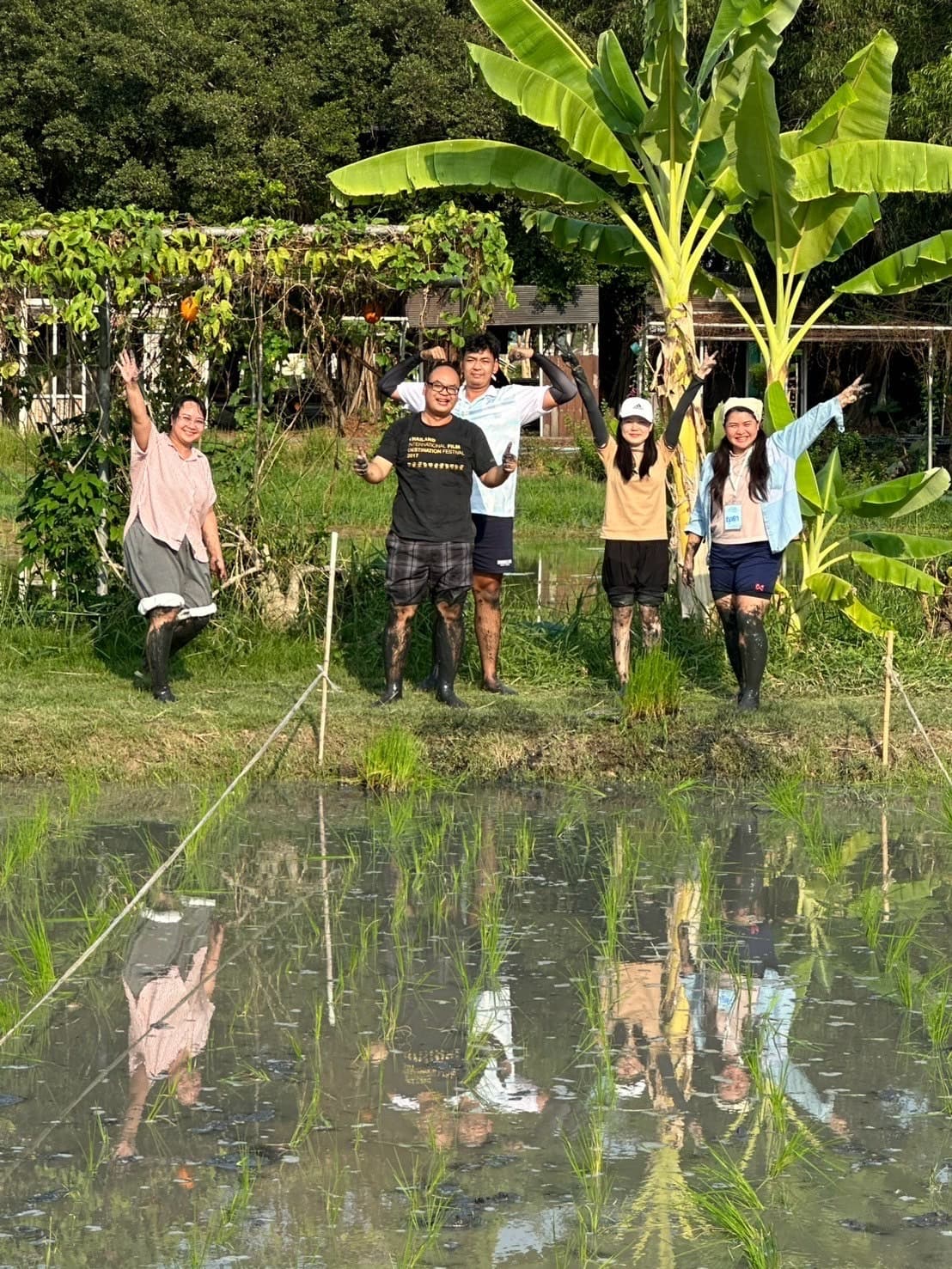 รูปภาพแกลเลอรี
