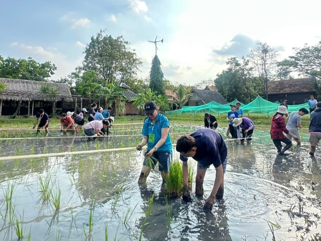 รูปภาพแกลเลอรี