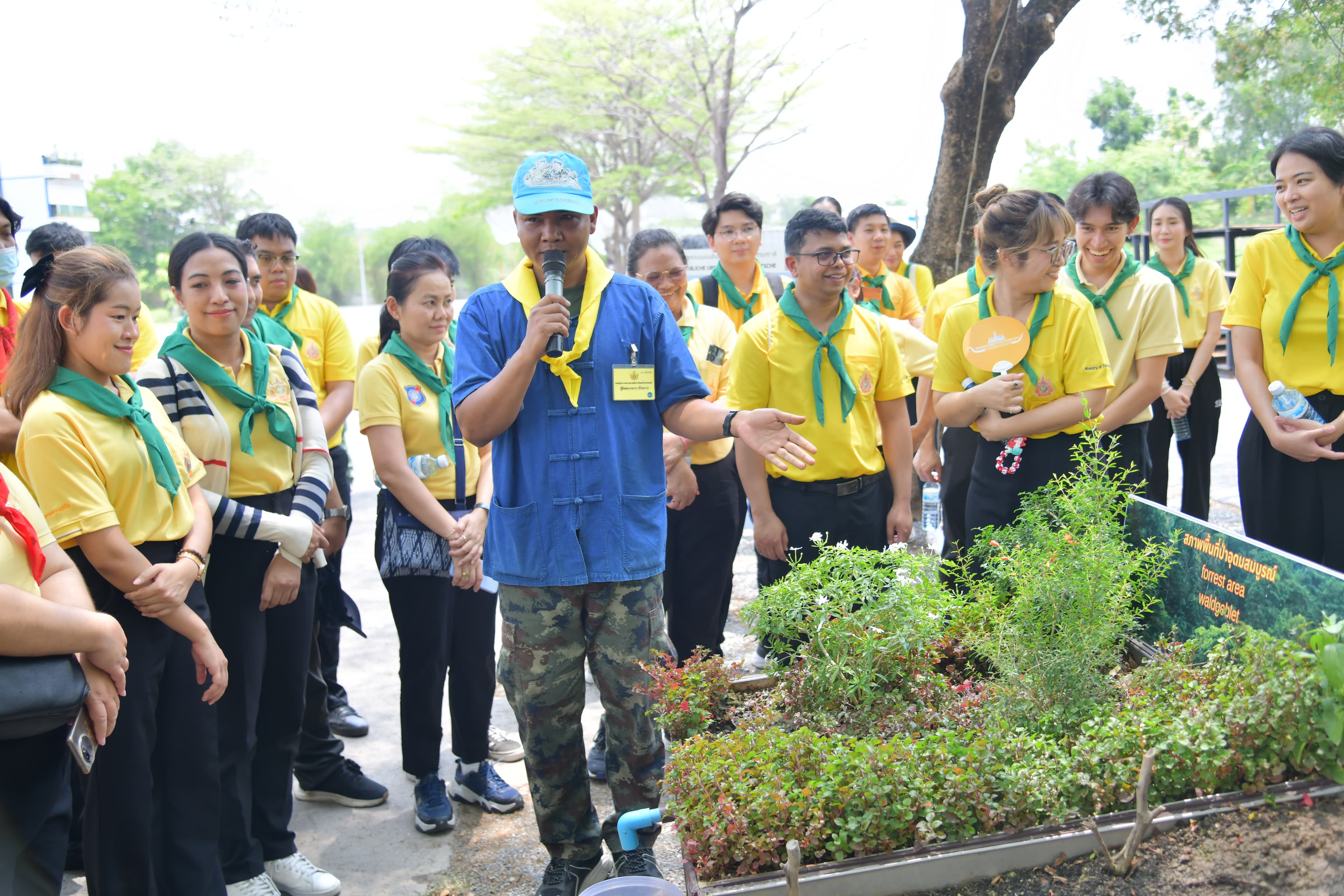 รูปภาพแกลเลอรี