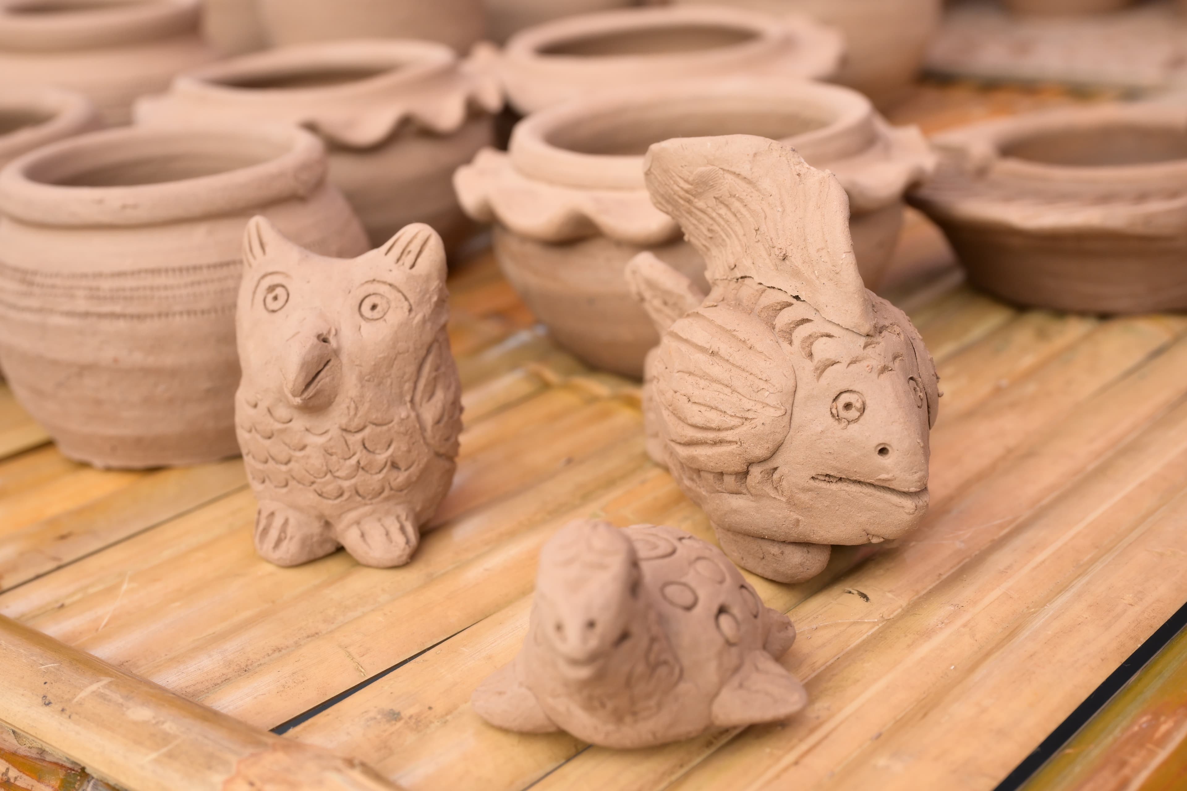 รูปภาพแกลเลอรี