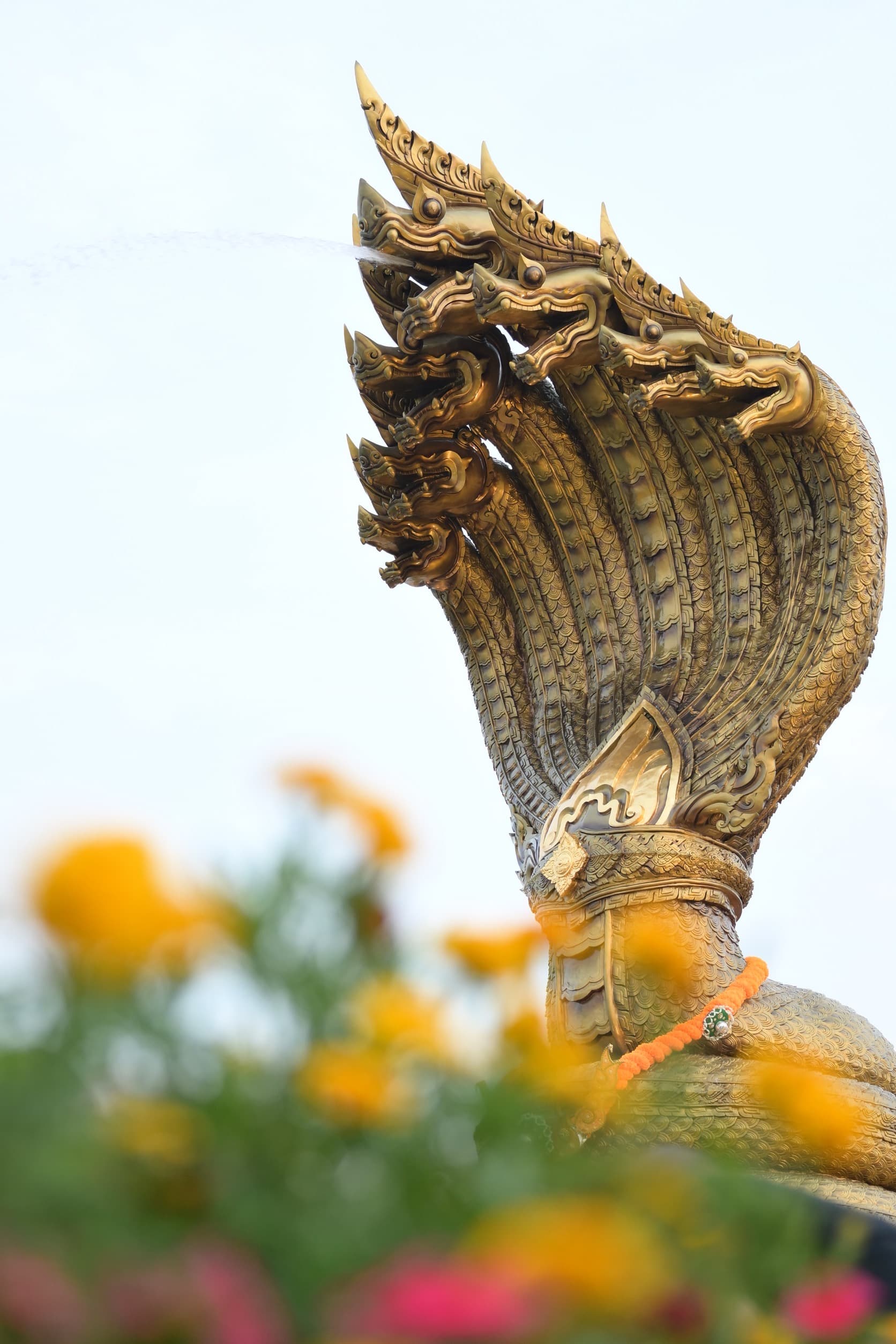 รูปภาพแกลเลอรี
