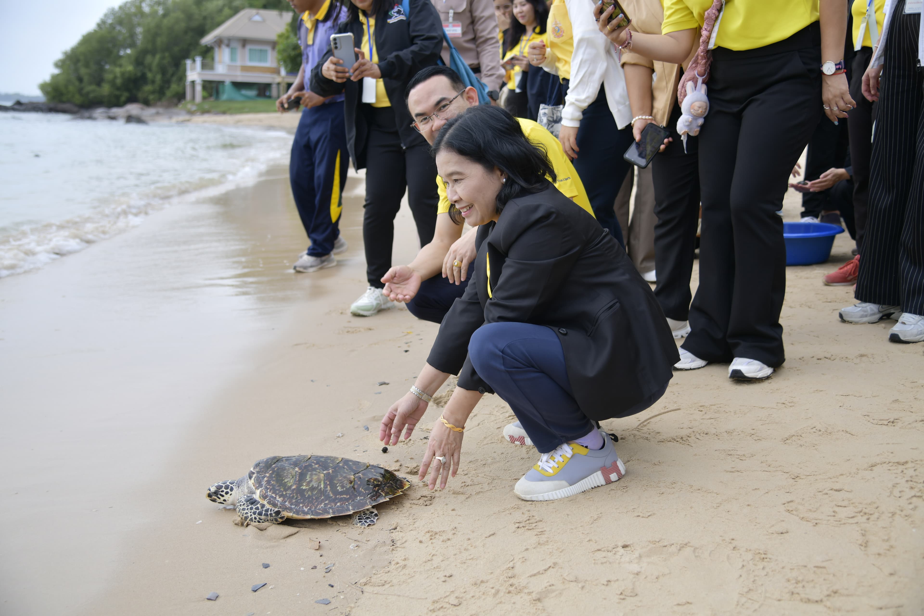 รูปภาพแกลเลอรี