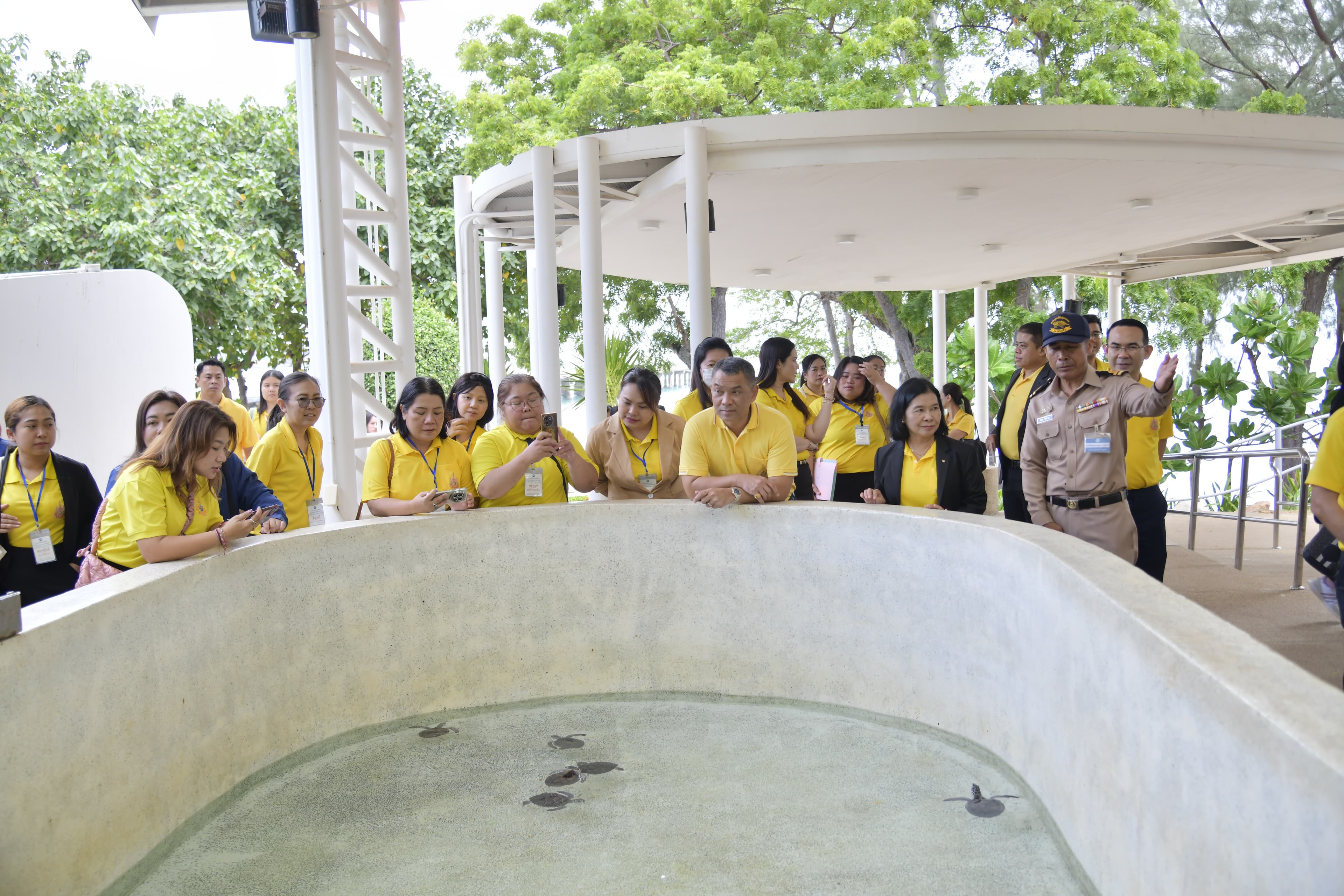 รูปภาพแกลเลอรี