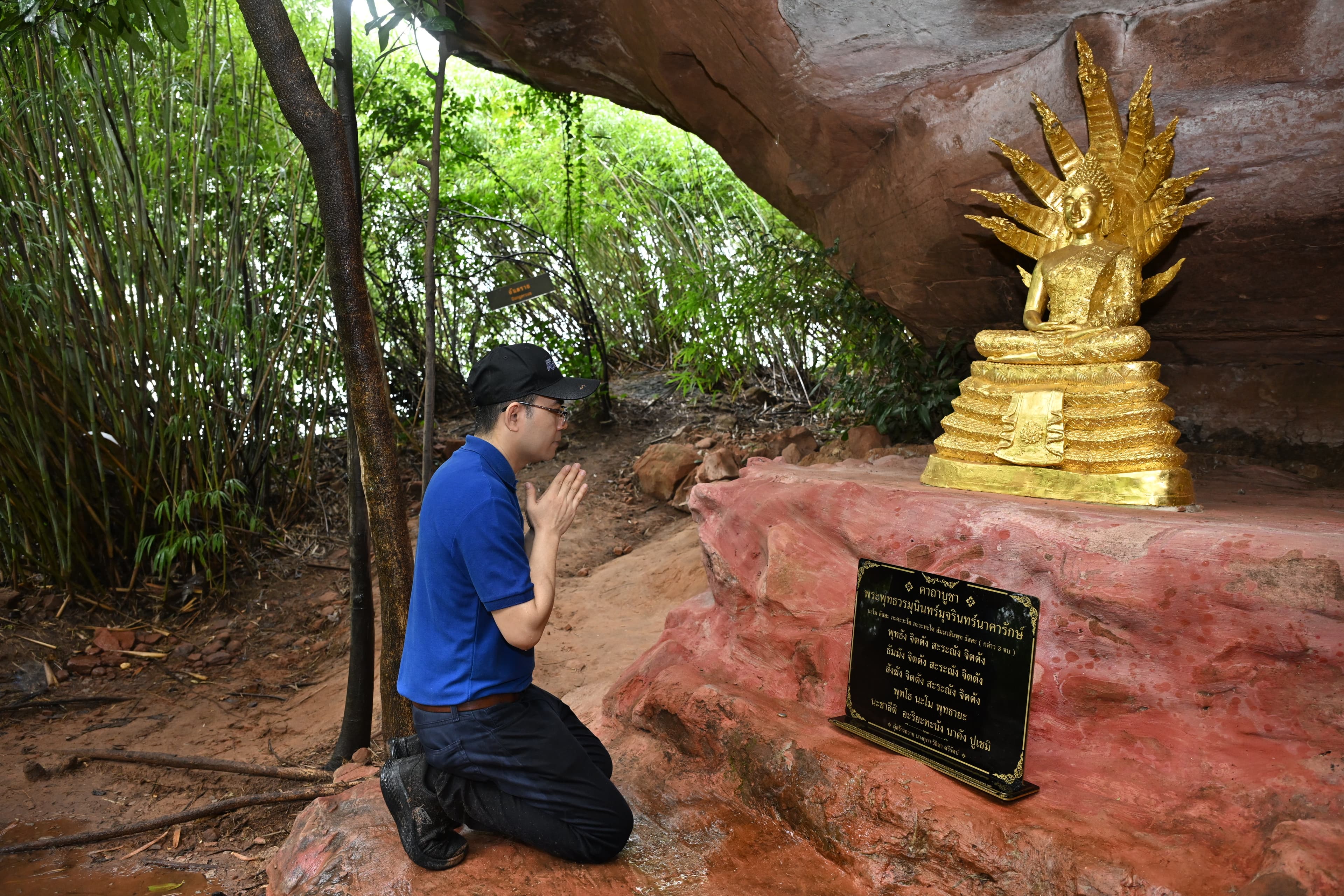 รูปภาพแกลเลอรี