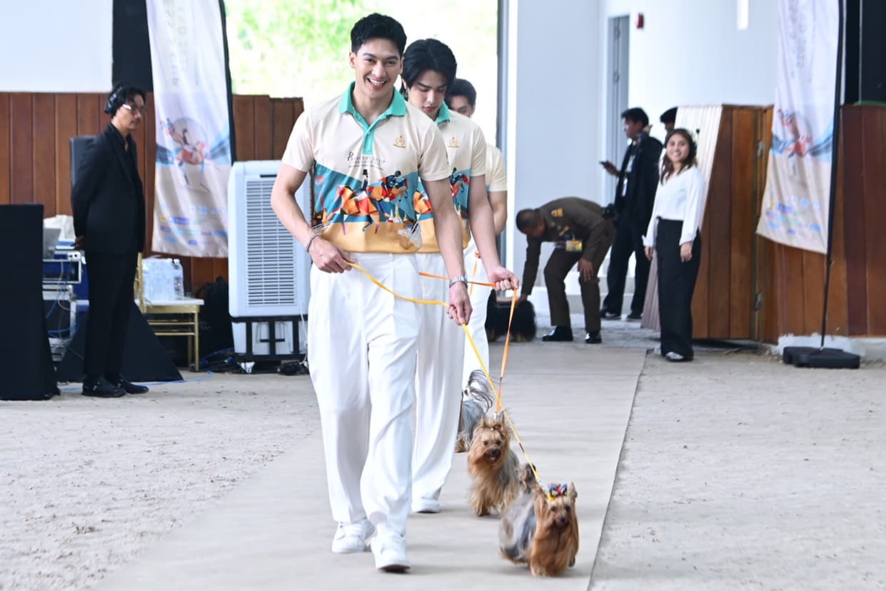 รูปภาพแกลเลอรี