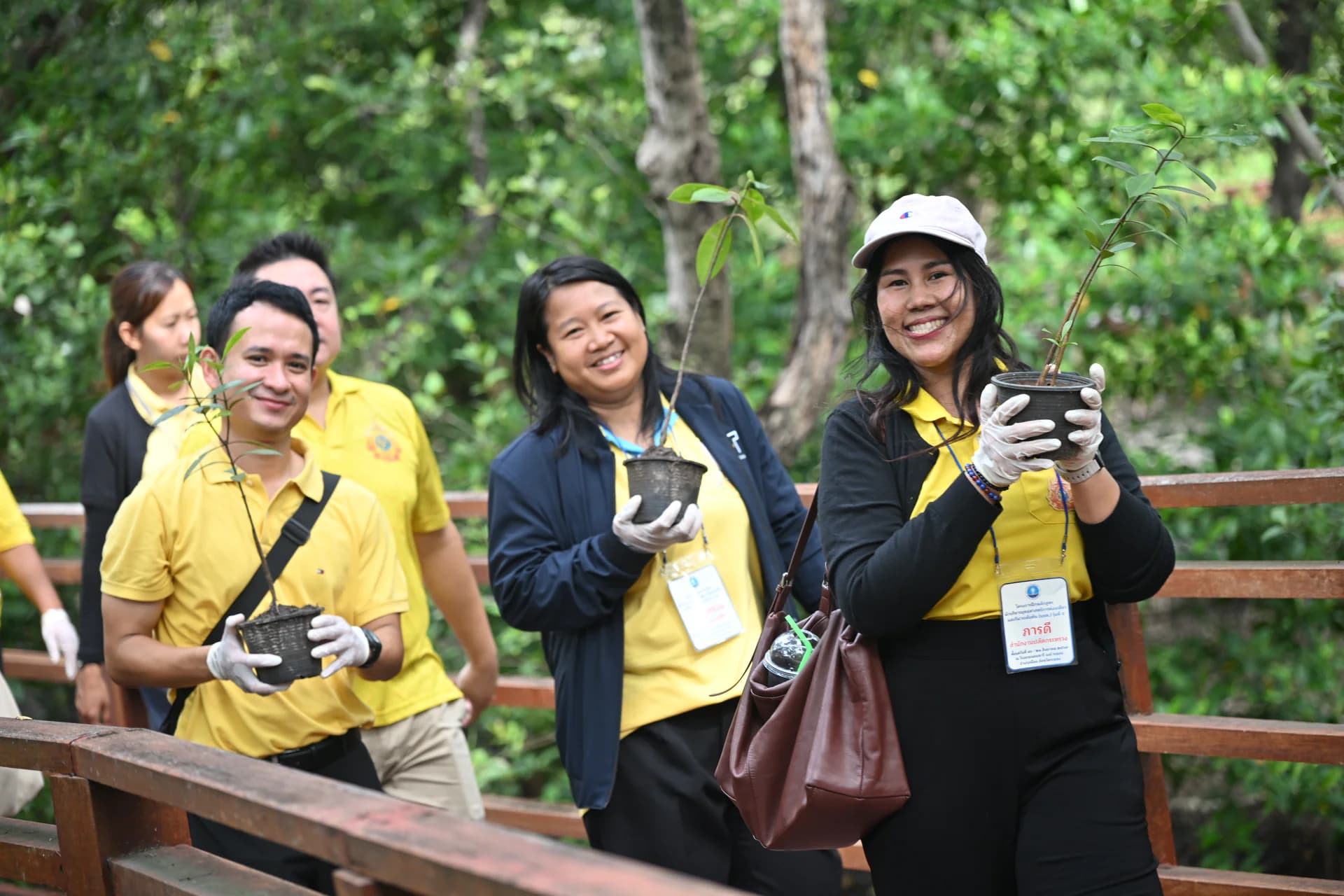 รูปภาพแกลเลอรี