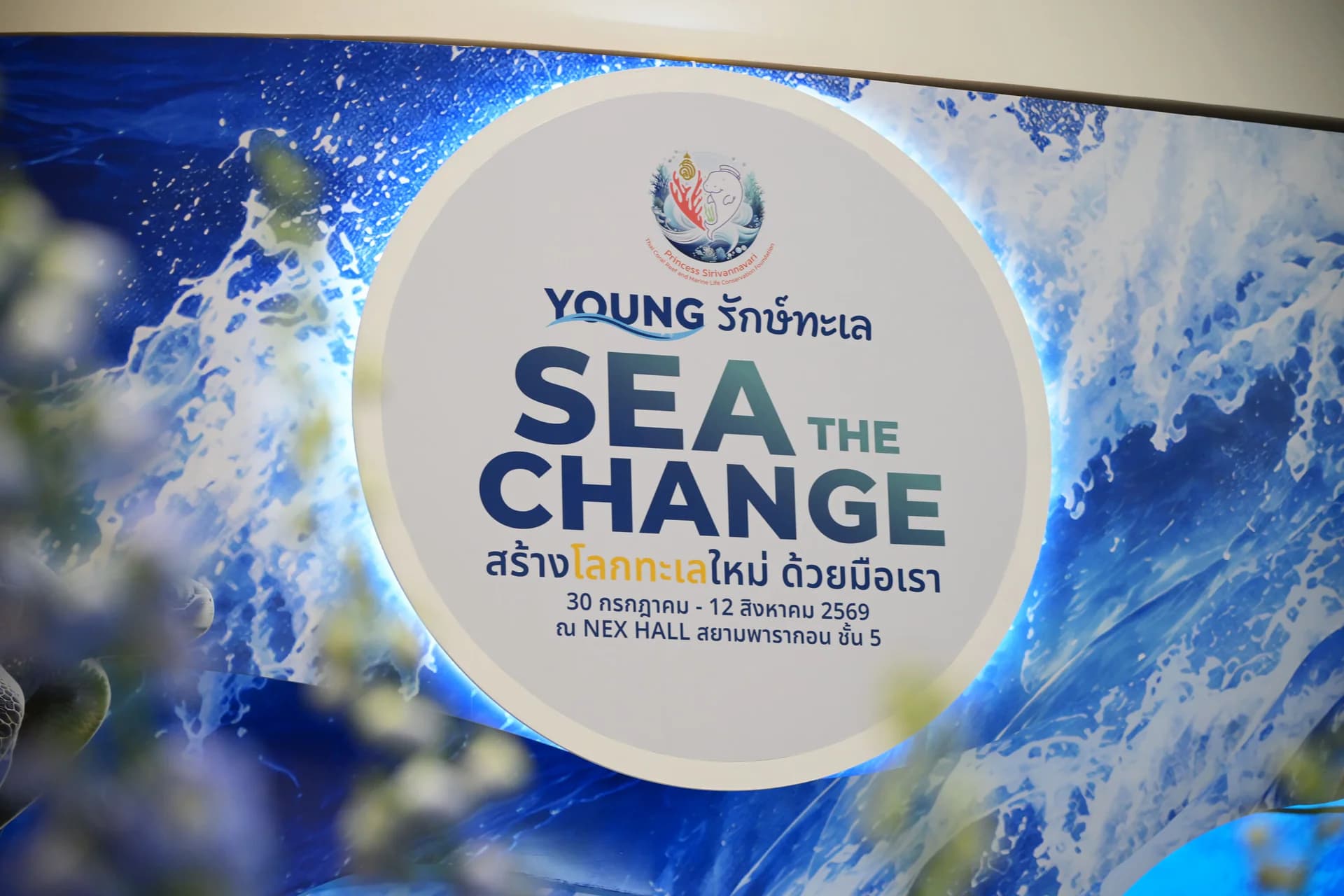 รูปภาพแกลเลอรี