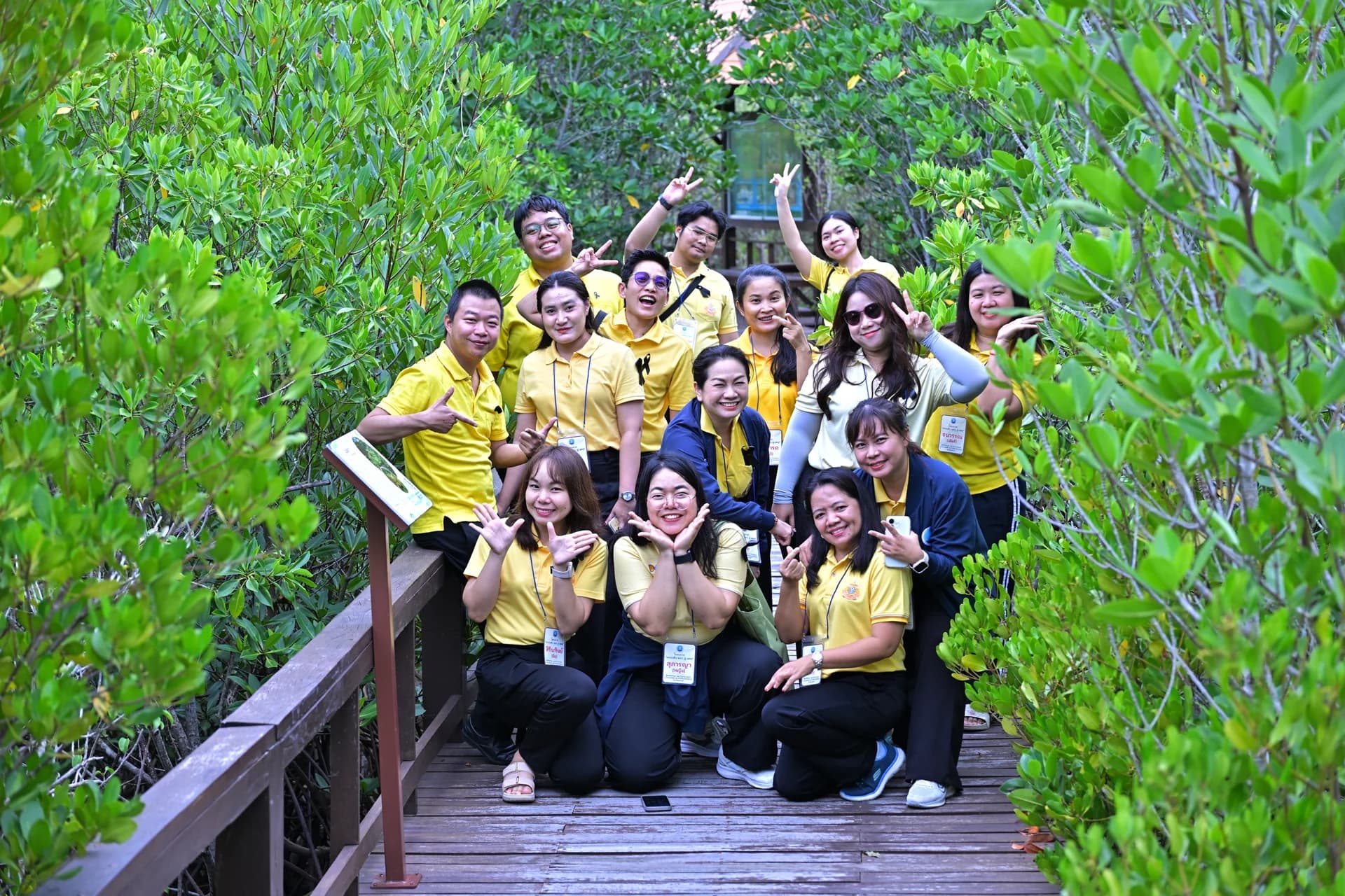 รูปภาพแกลเลอรี